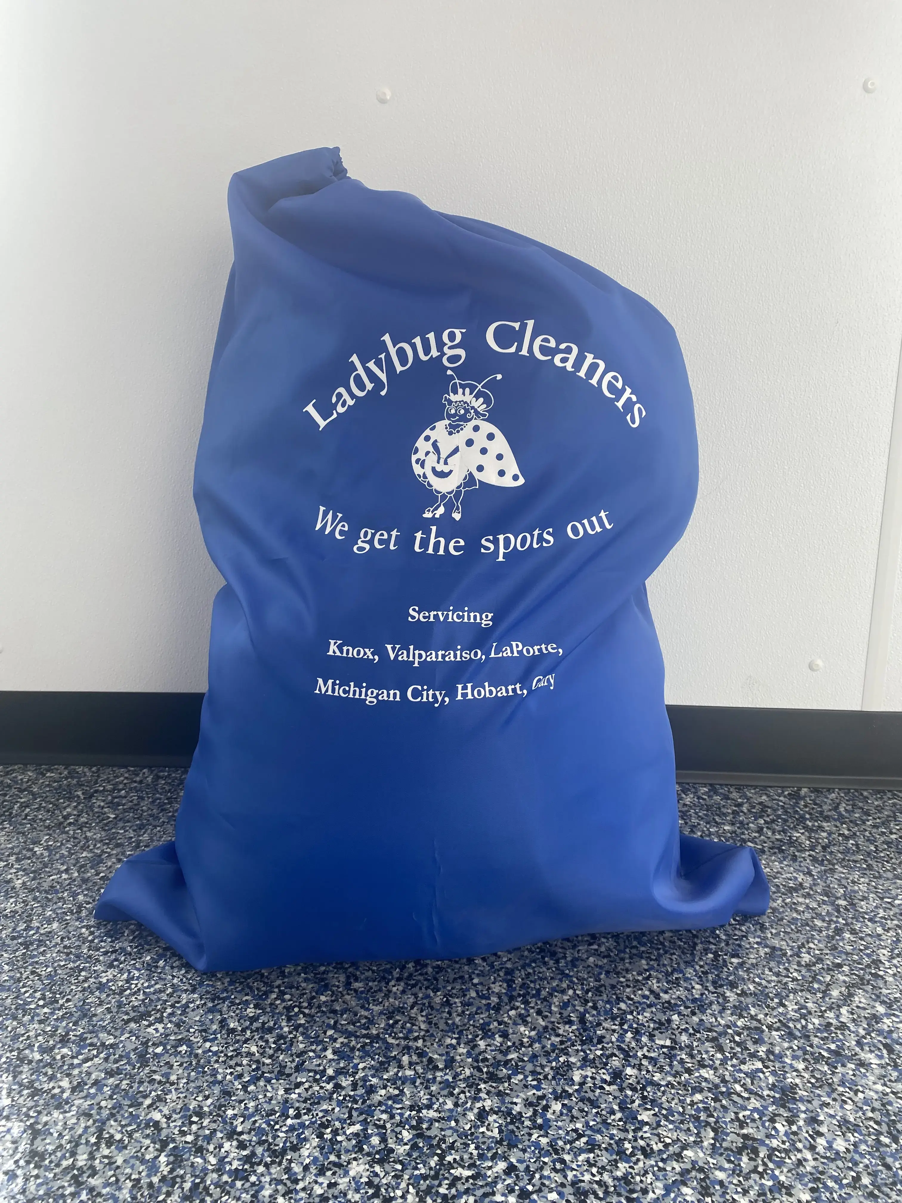 Ladybug Laundry thumbnail 9