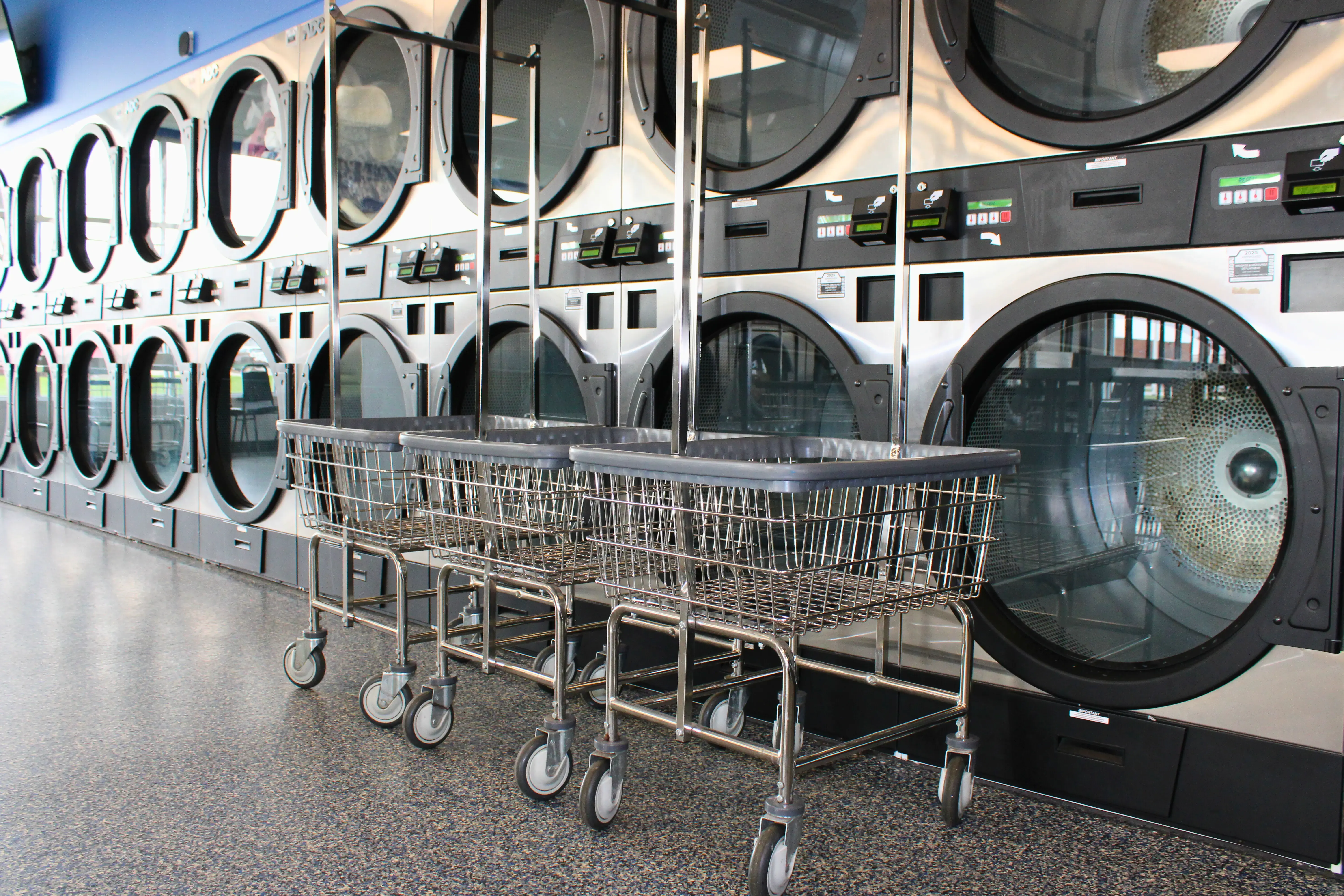 Ladybug Laundry thumbnail 7