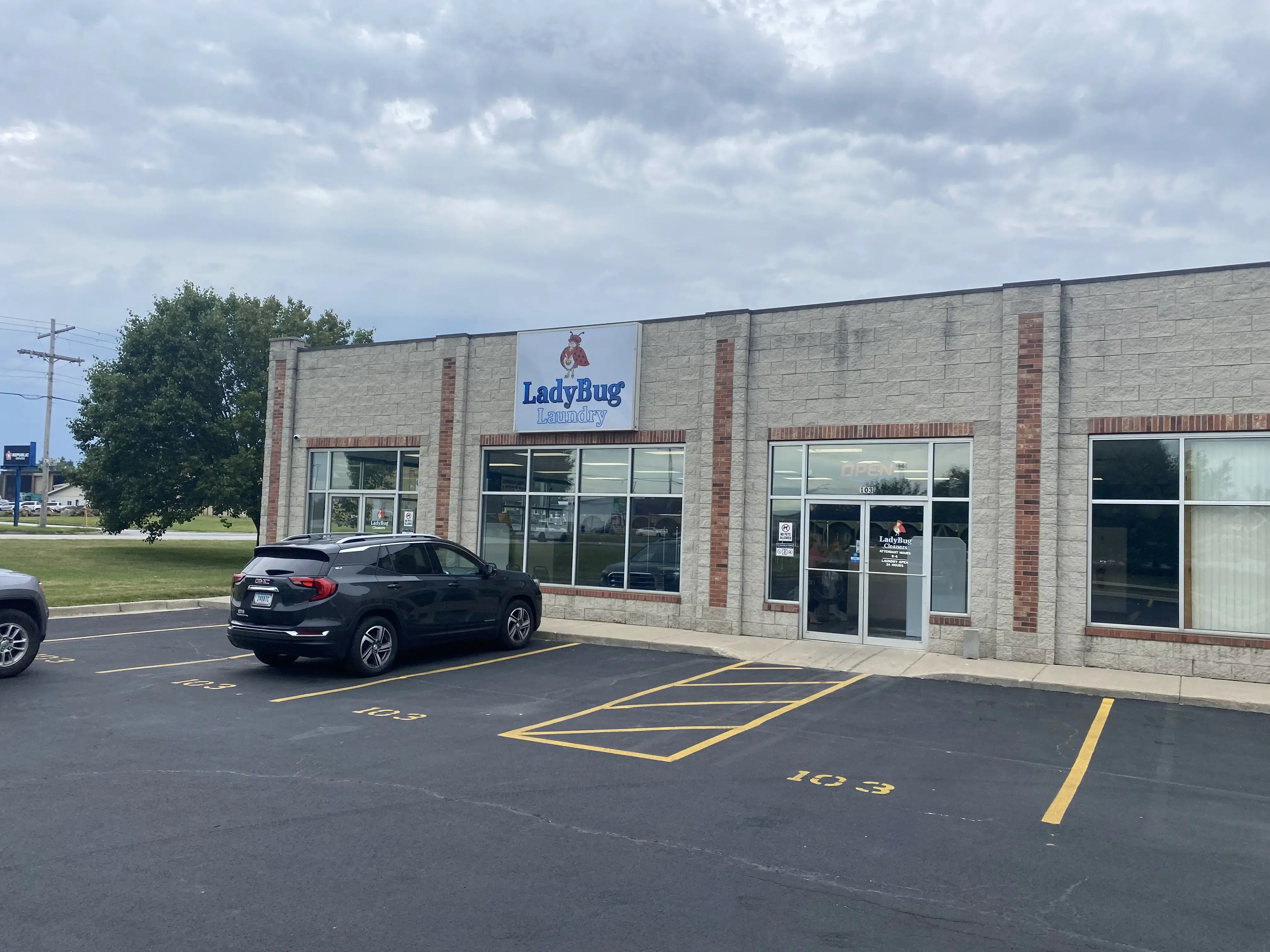 Ladybug Laundry thumbnail 4