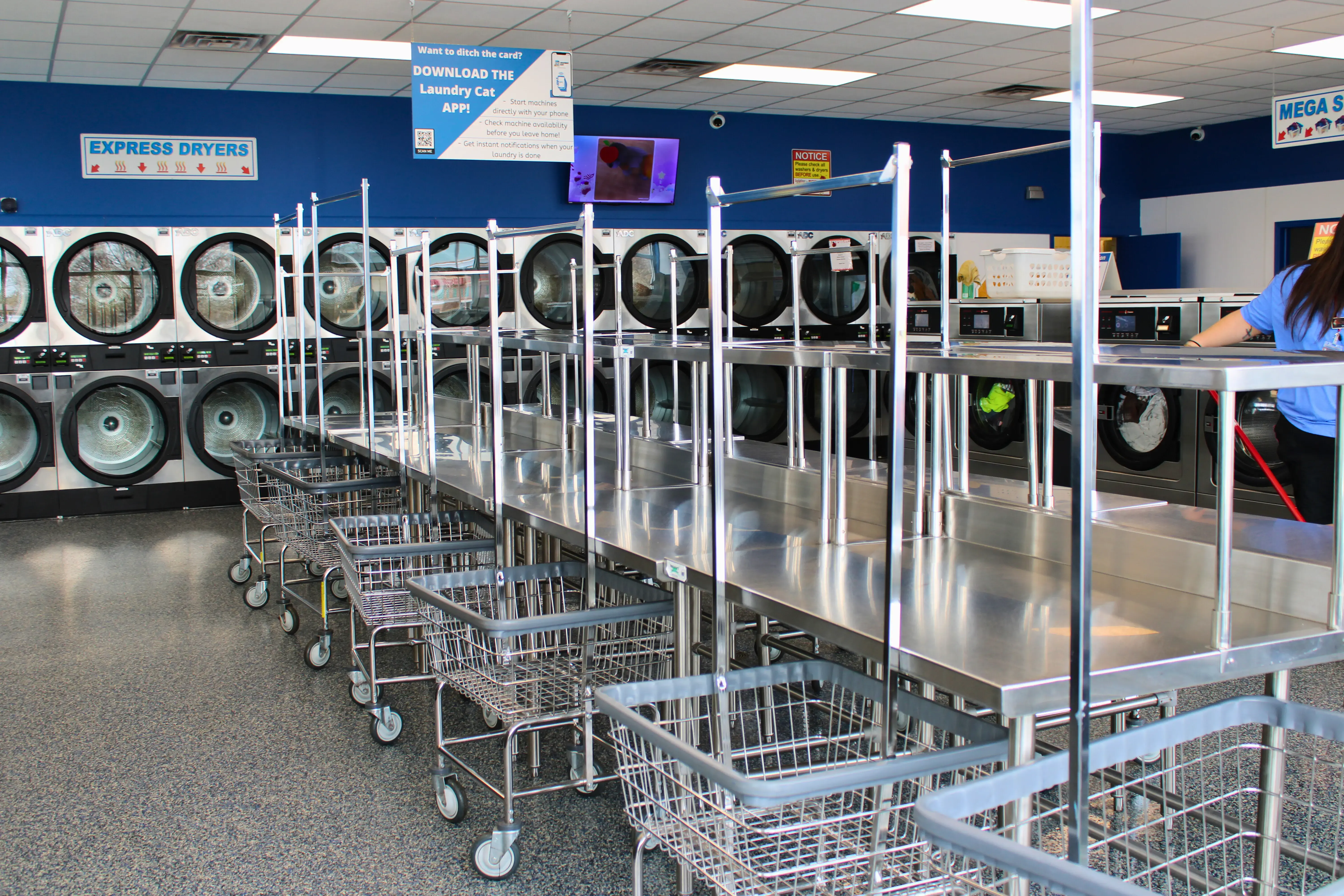 Ladybug Laundry - Image 18