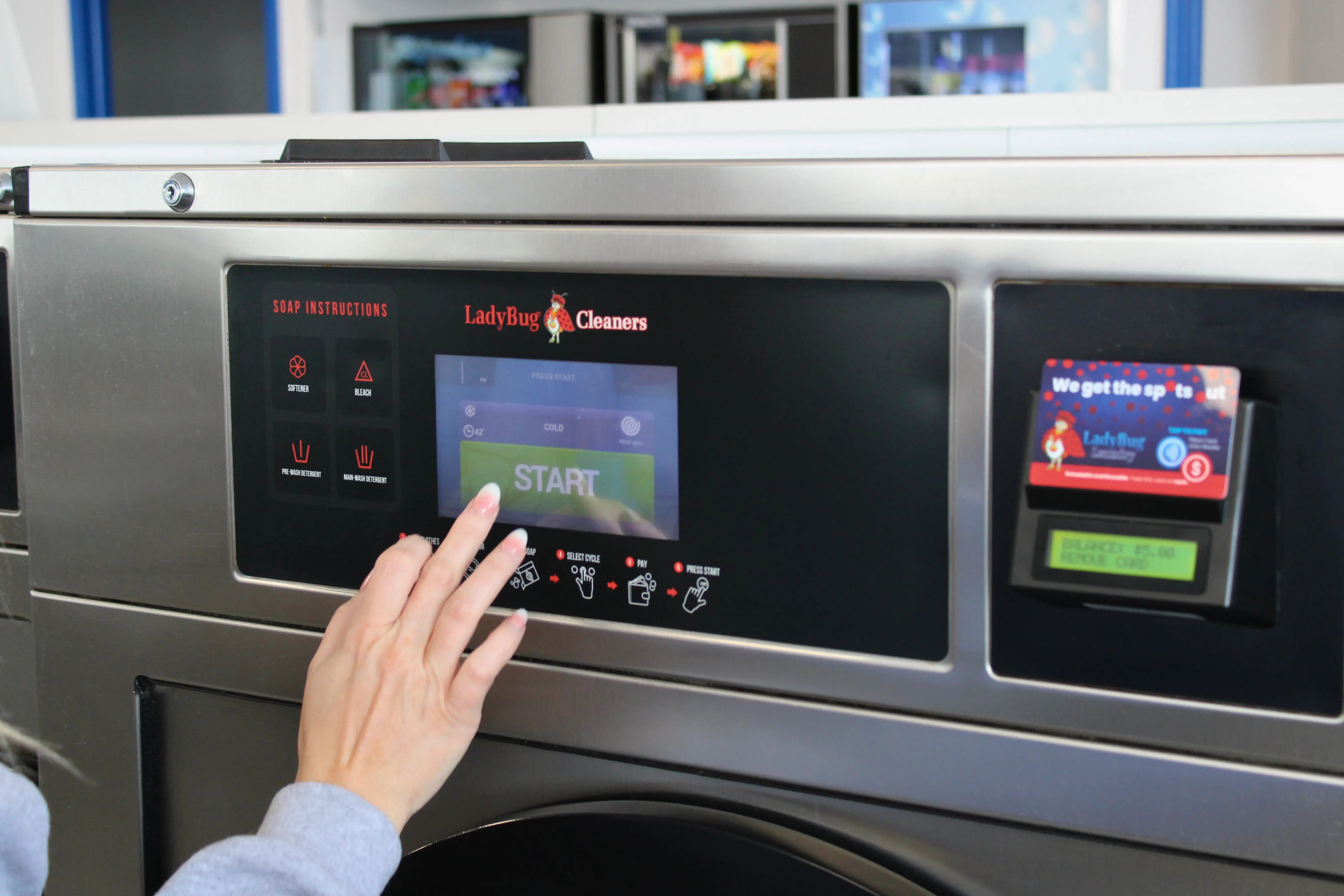 Ladybug Laundry thumbnail 16