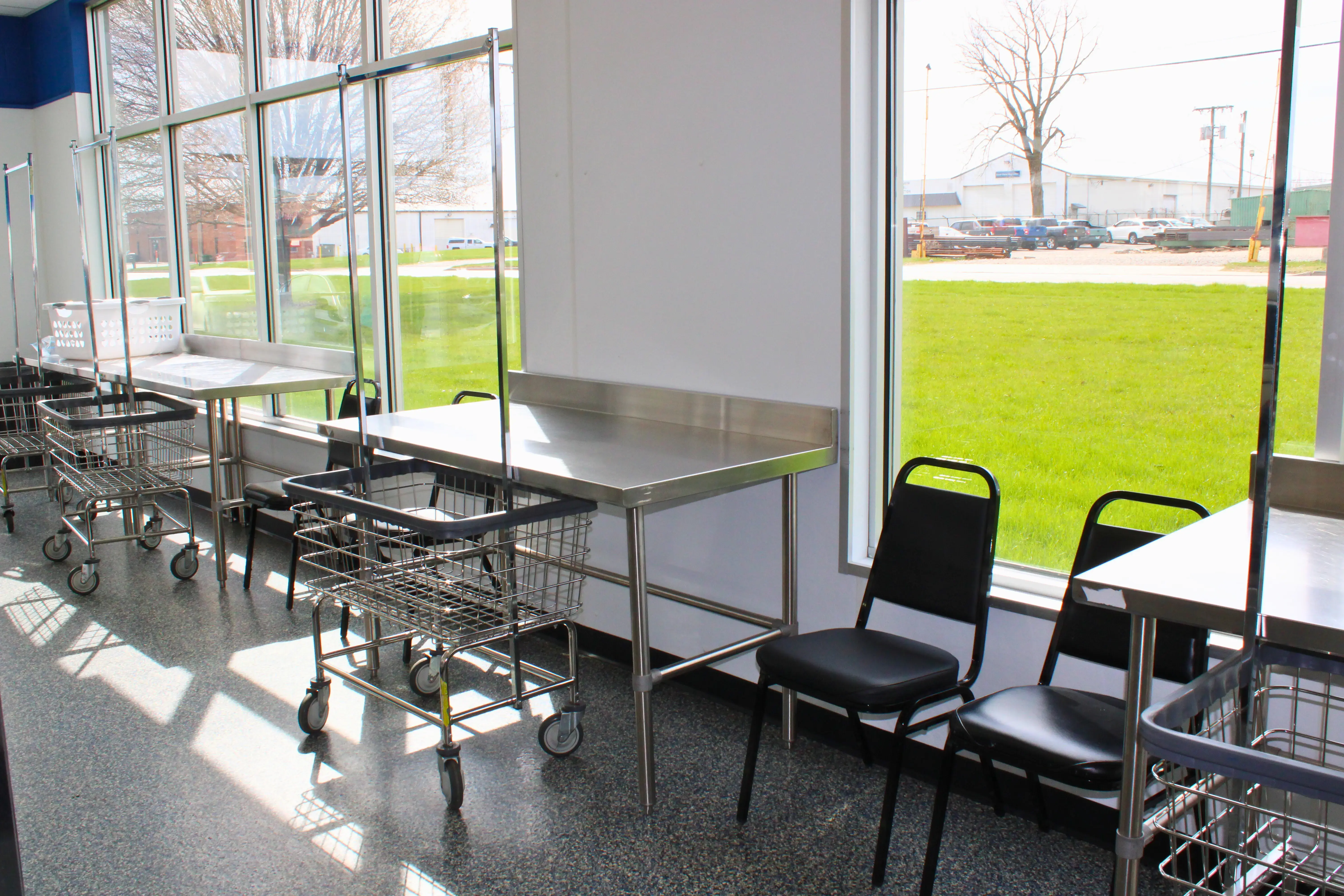 Ladybug Laundry thumbnail 10