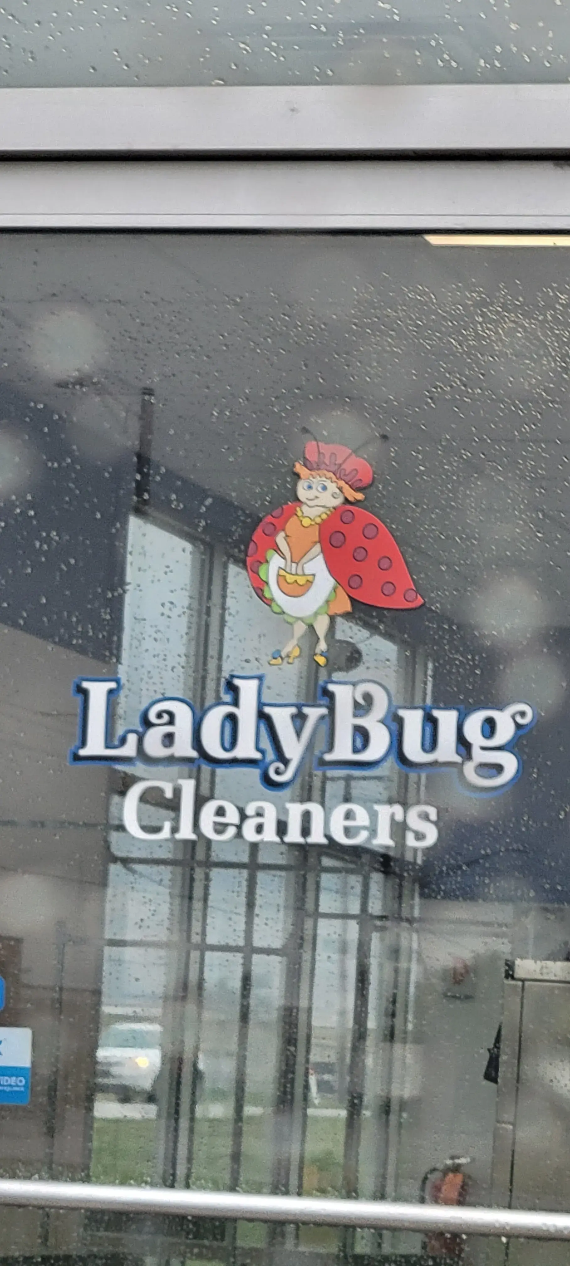 Ladybug Laundry thumbnail 20