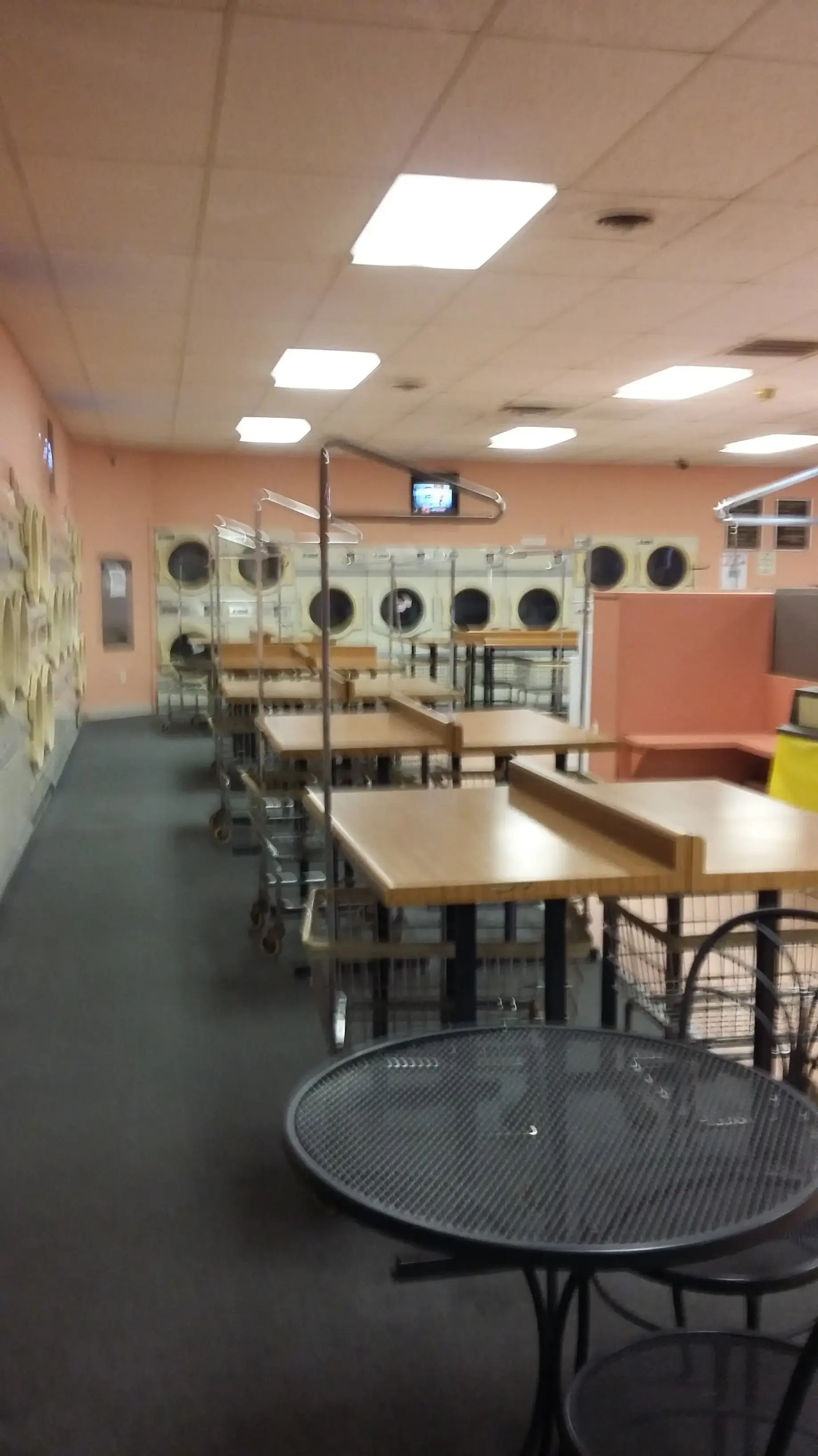 Ladybug Laundry (Earl Ave) - Image 17