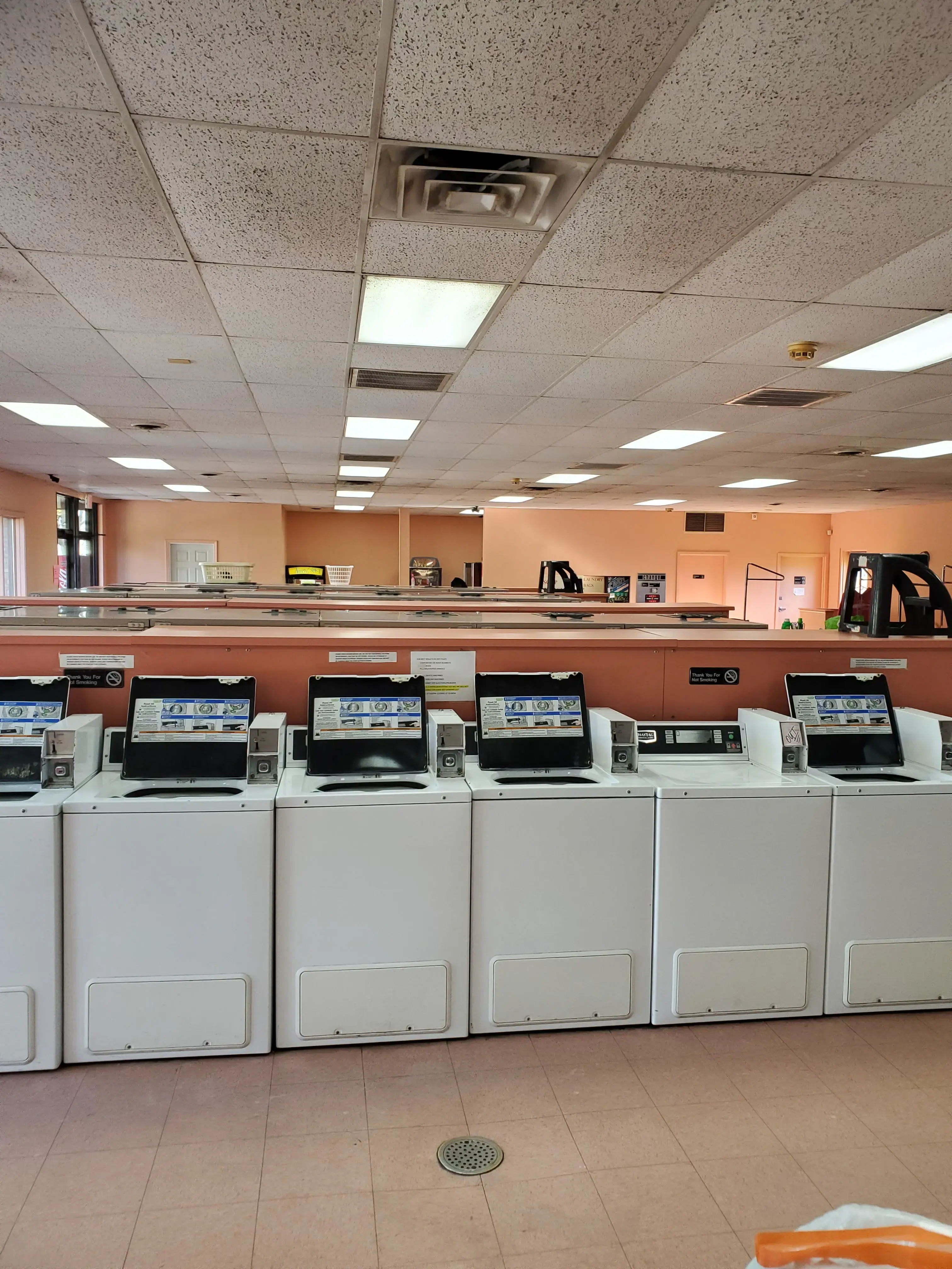 Ladybug Laundry (Earl Ave) - Image 15