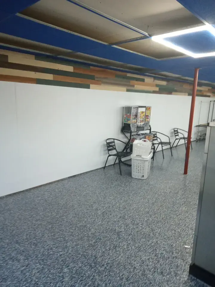 Ladybug Laundry thumbnail 5