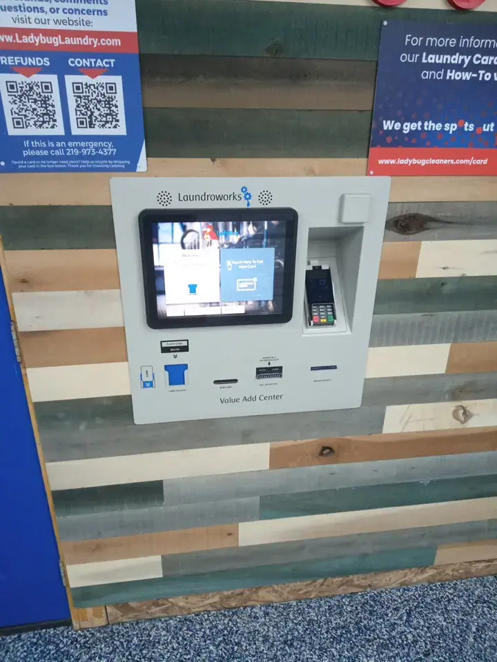 Ladybug Laundry thumbnail 8