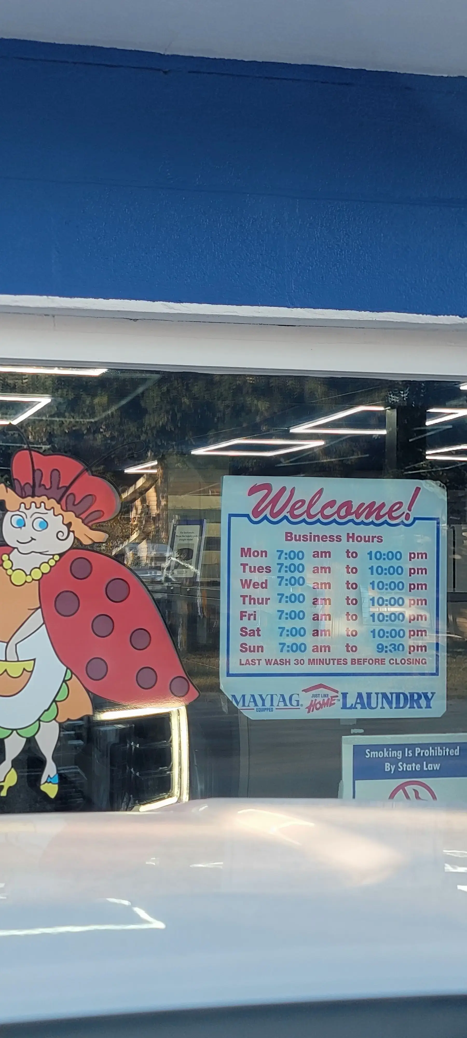 Ladybug Laundry thumbnail 7