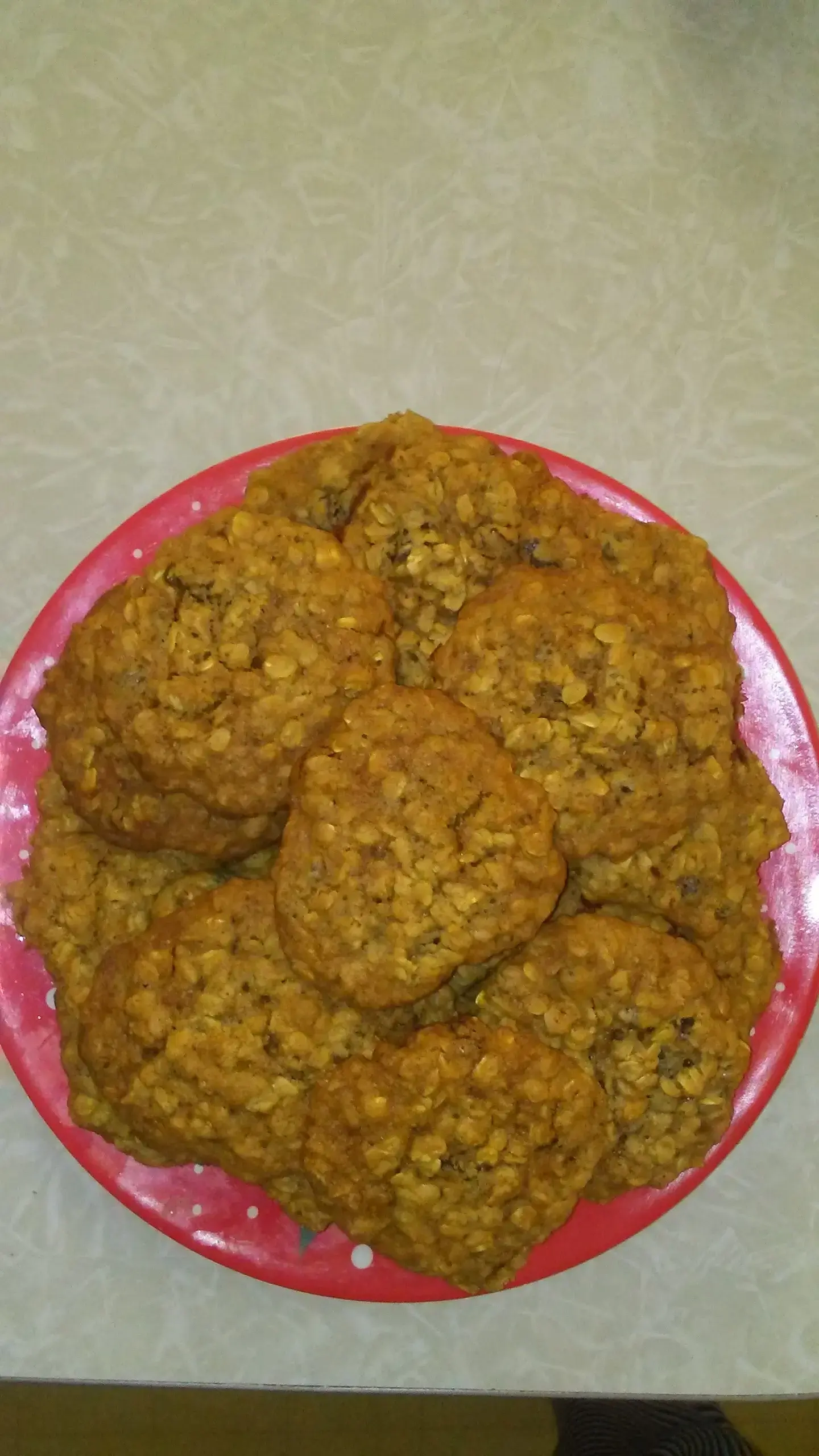 Ladybug Laundry - Image 2