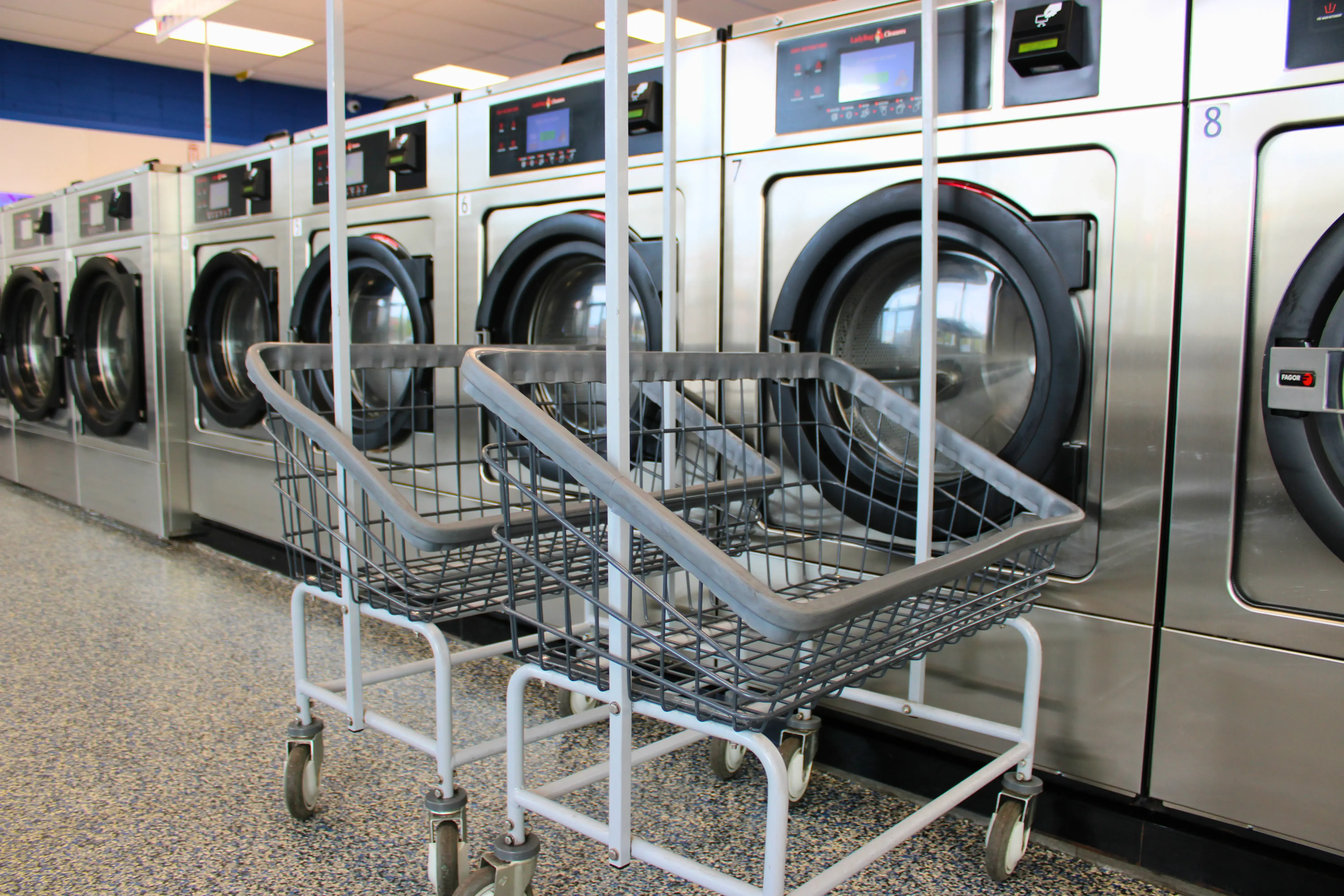Ladybug Laundry - Image 19