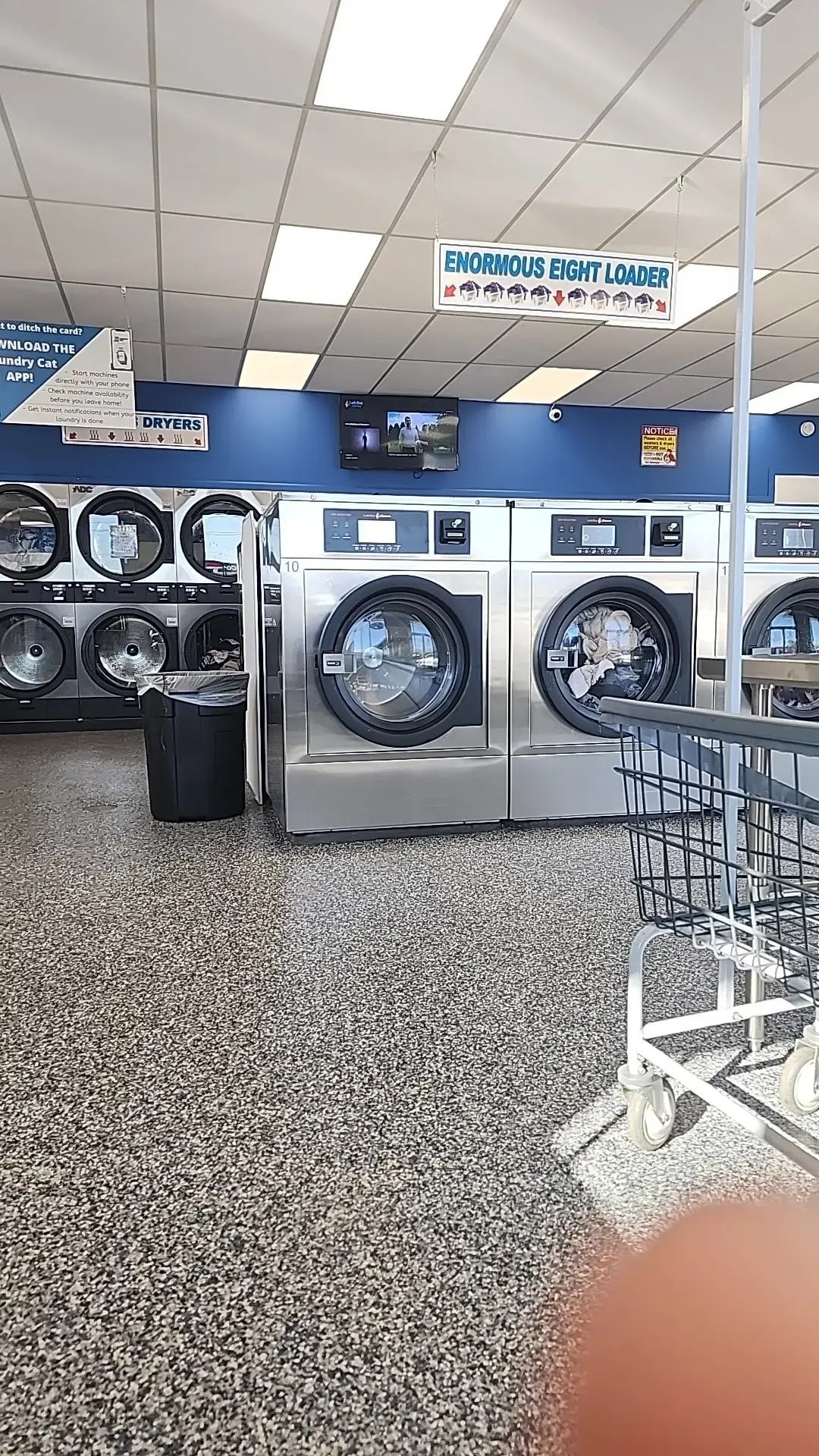 Ladybug Laundry - Image 16