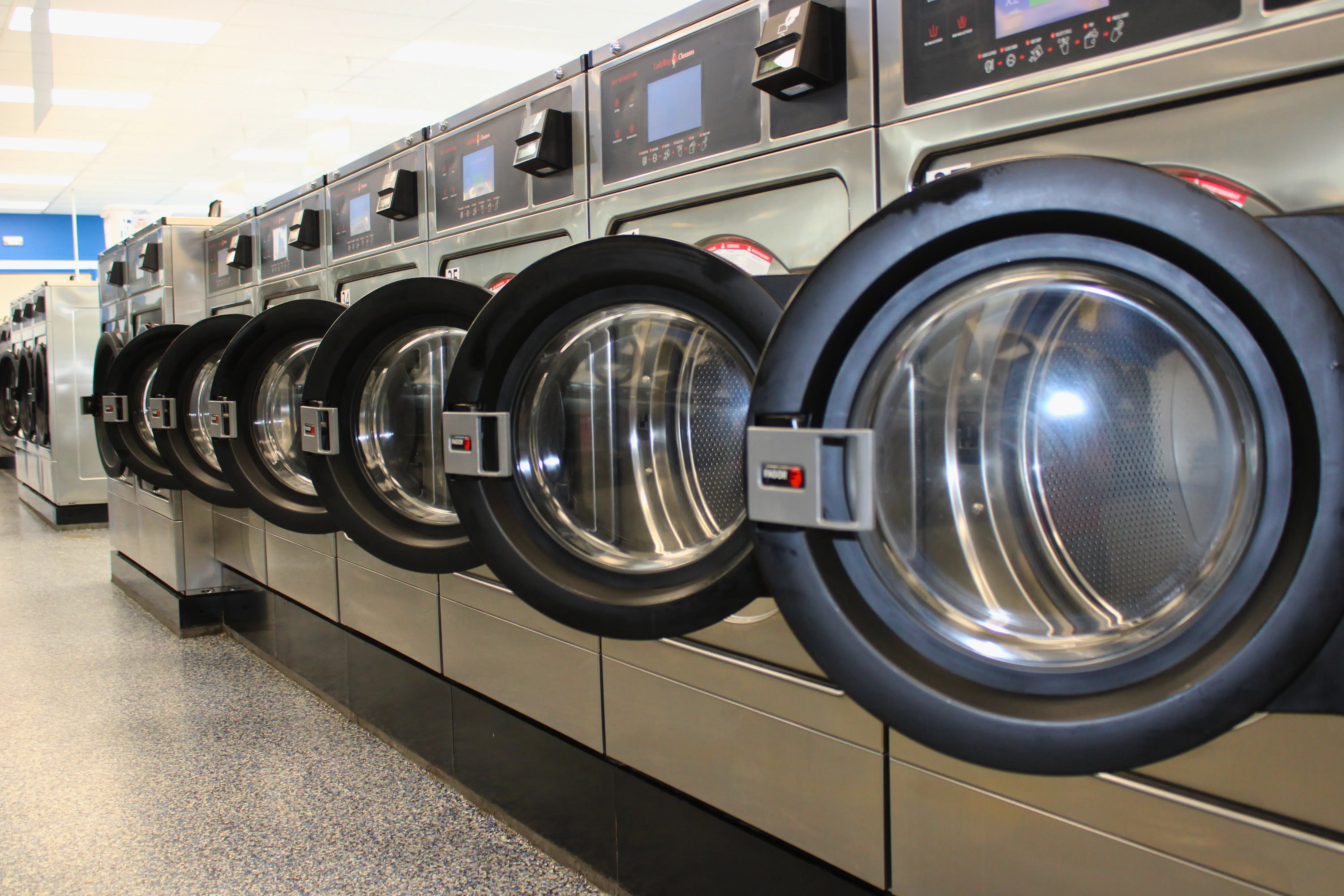 Ladybug Laundry - Image 18