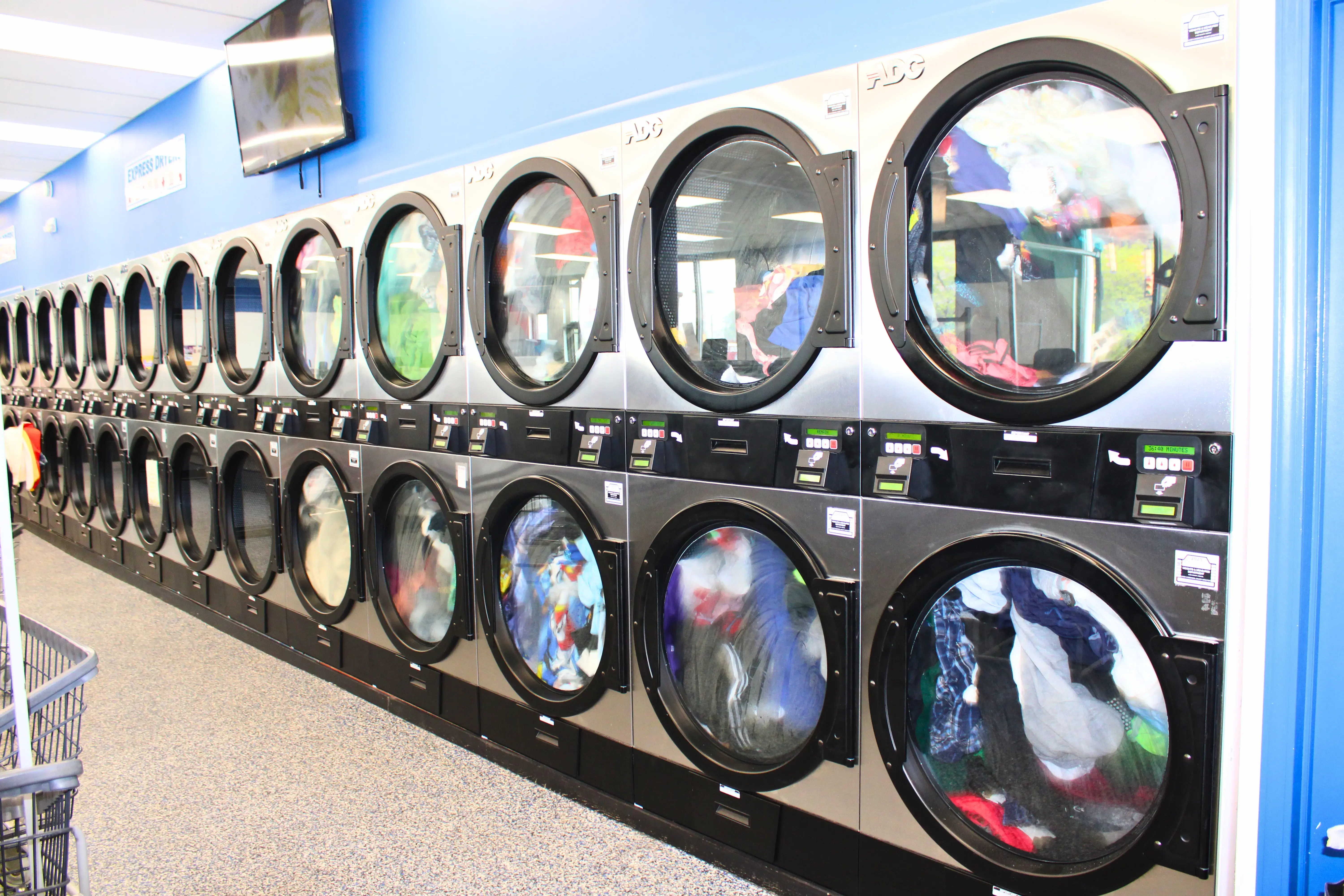 Ladybug Laundry - Image 13