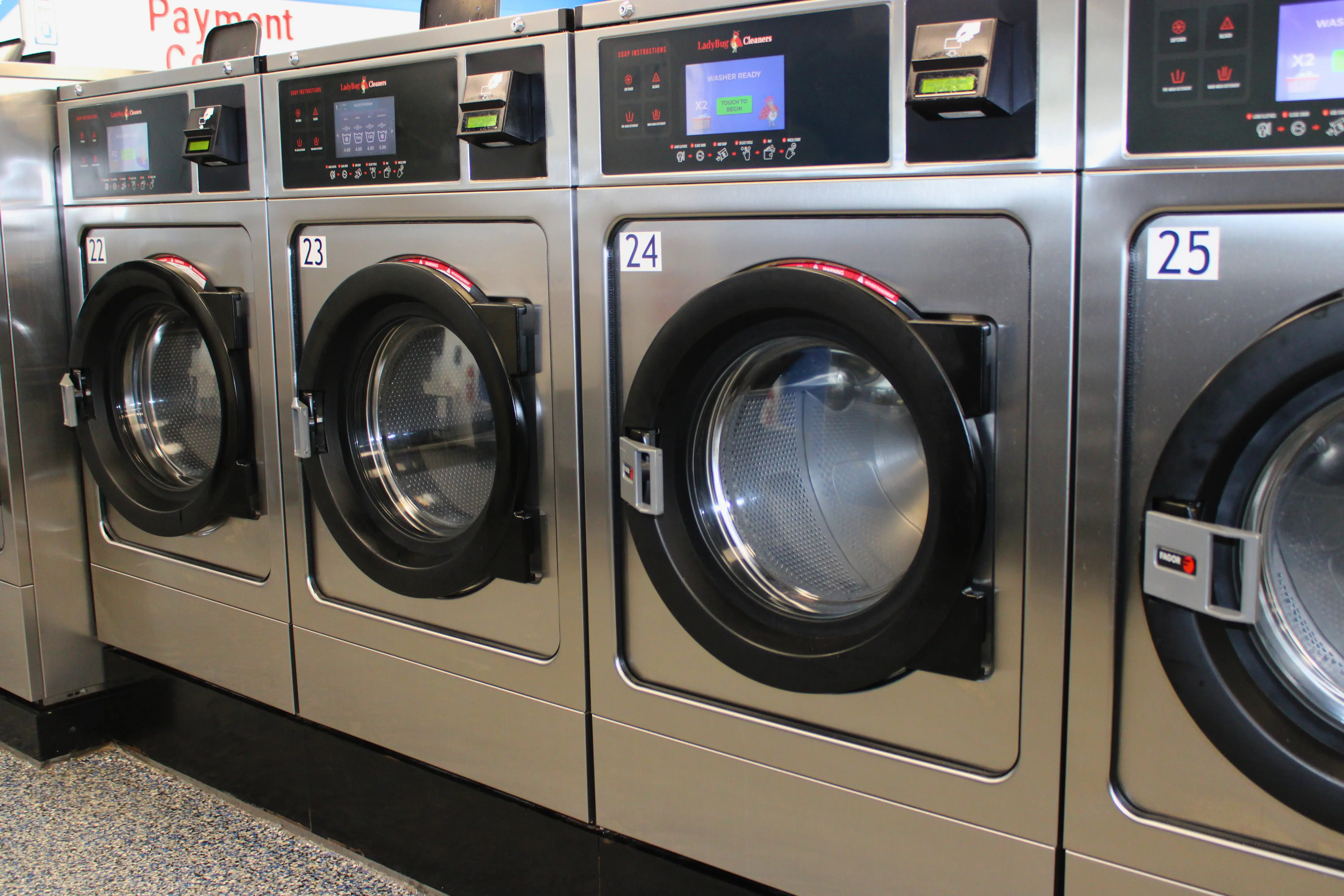 Ladybug Laundry - Image 2
