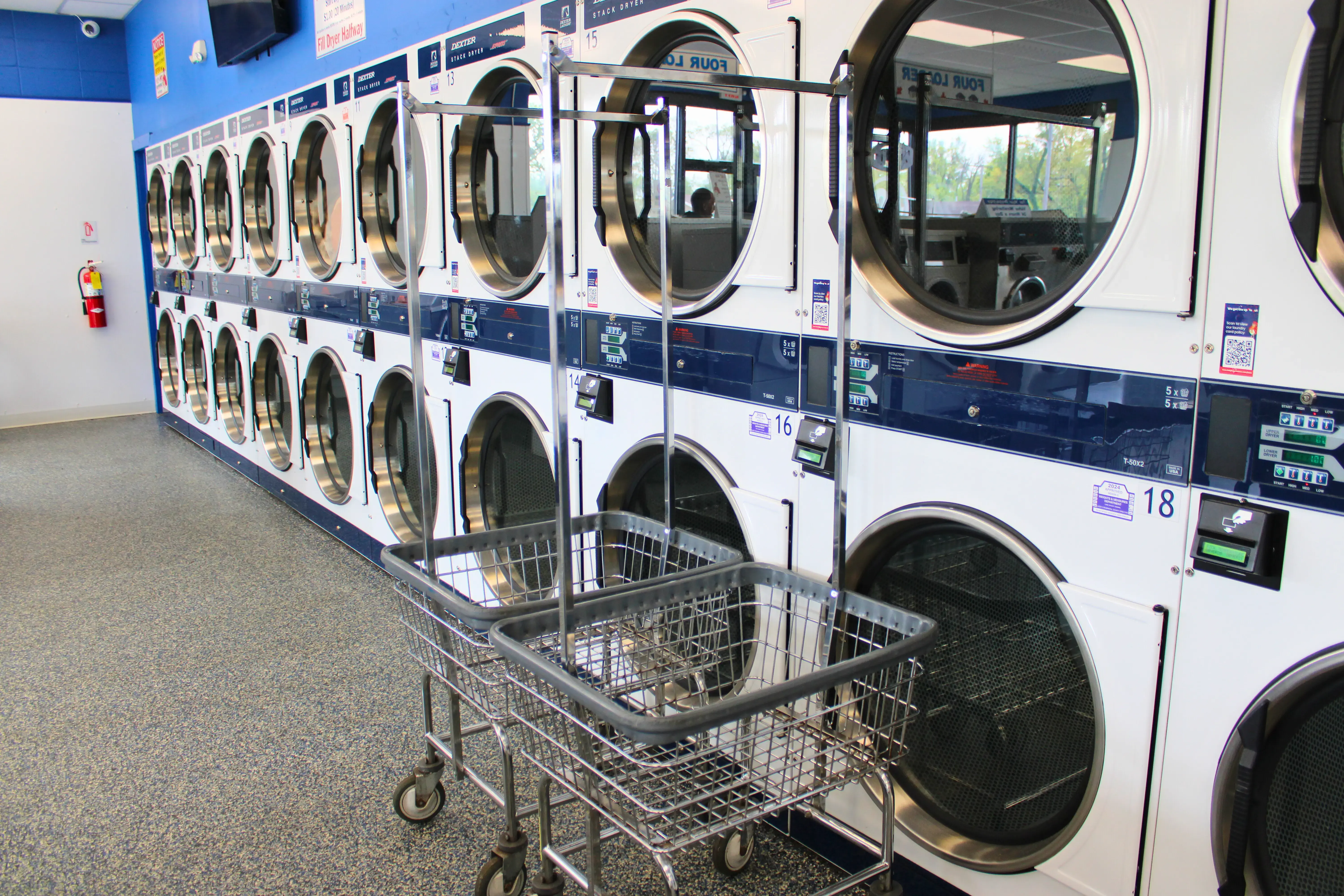 Ladybug Laundry thumbnail 13