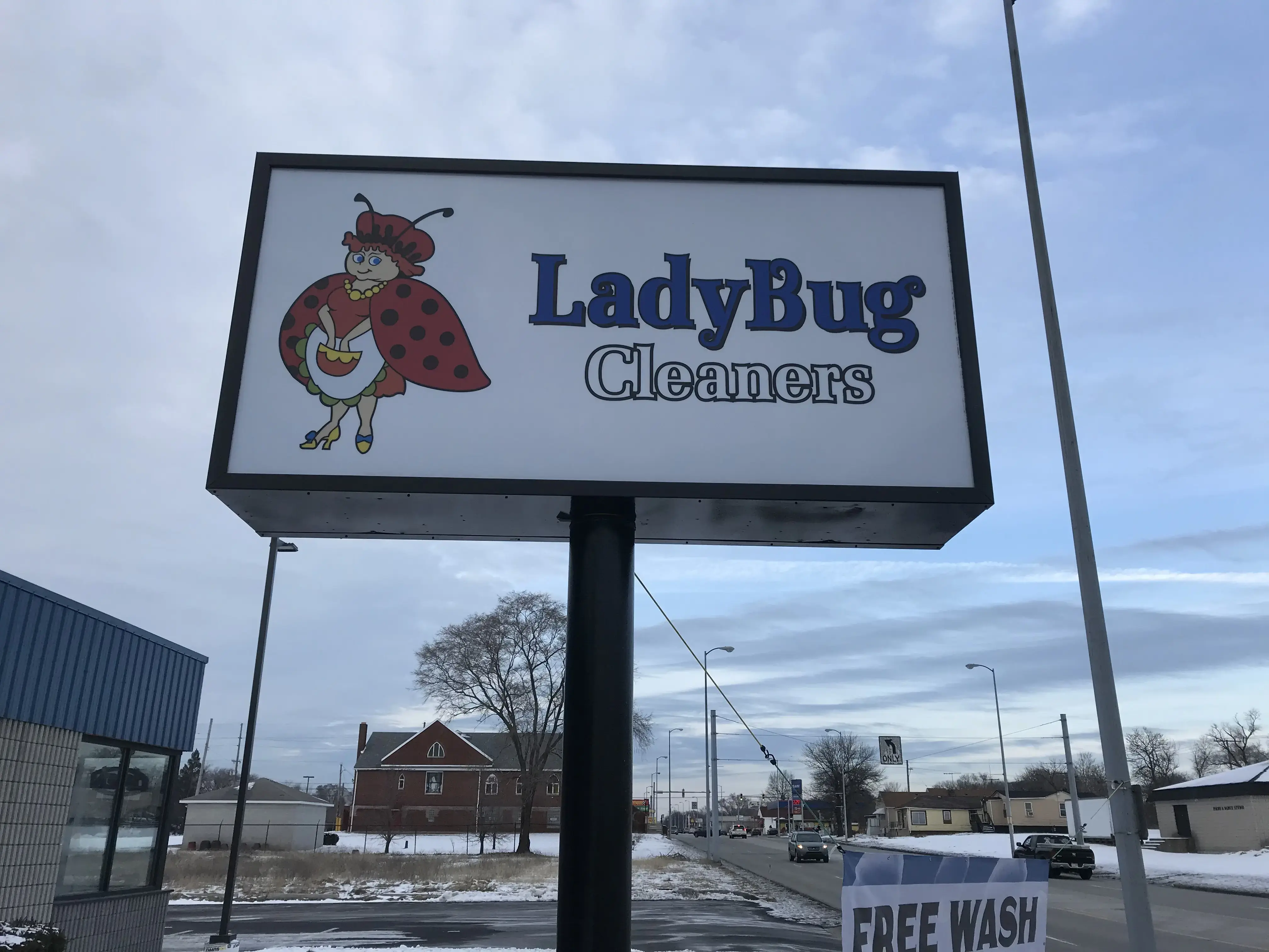 Ladybug Laundry thumbnail 7