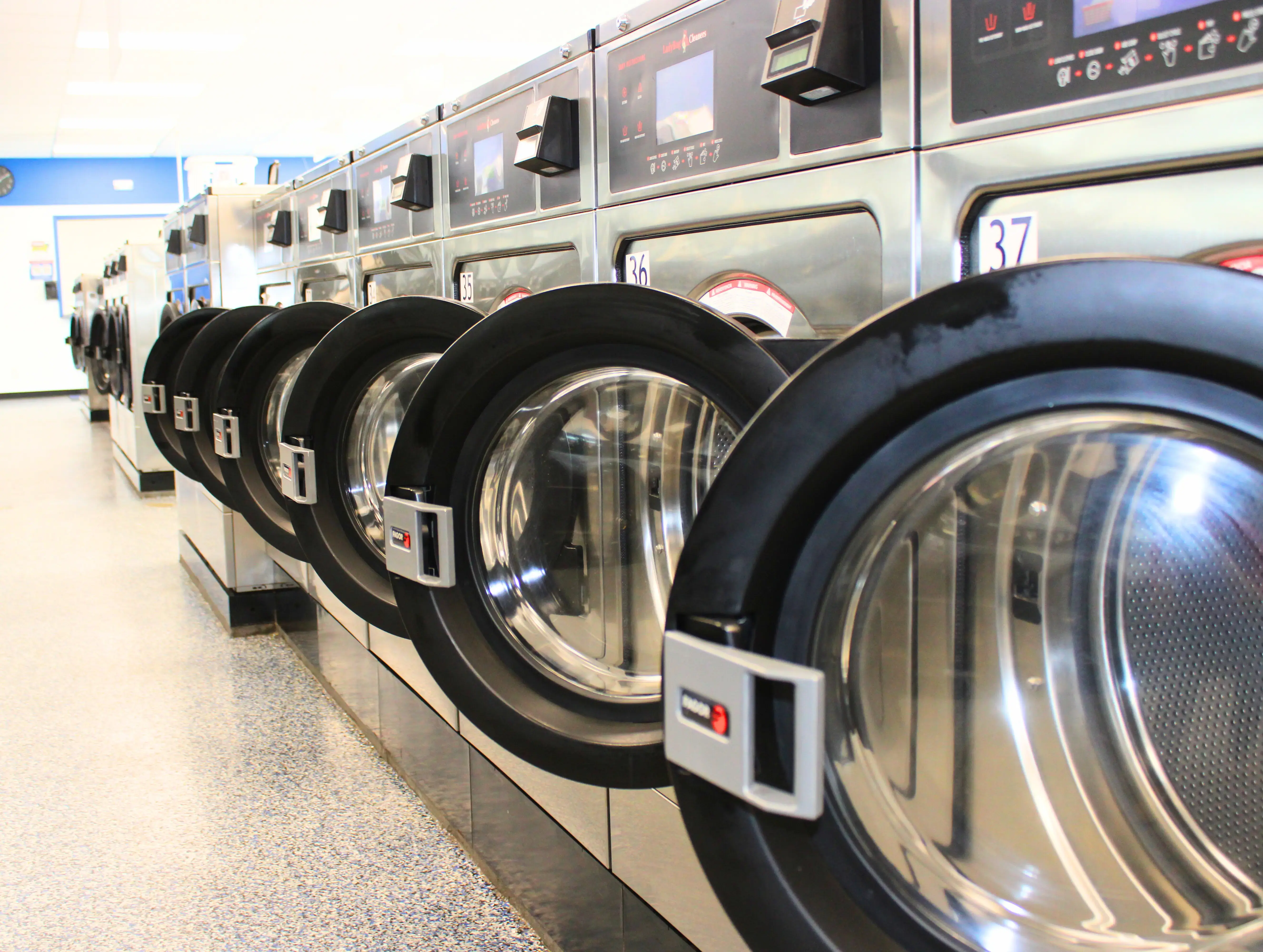 Ladybug Laundry - Image 3