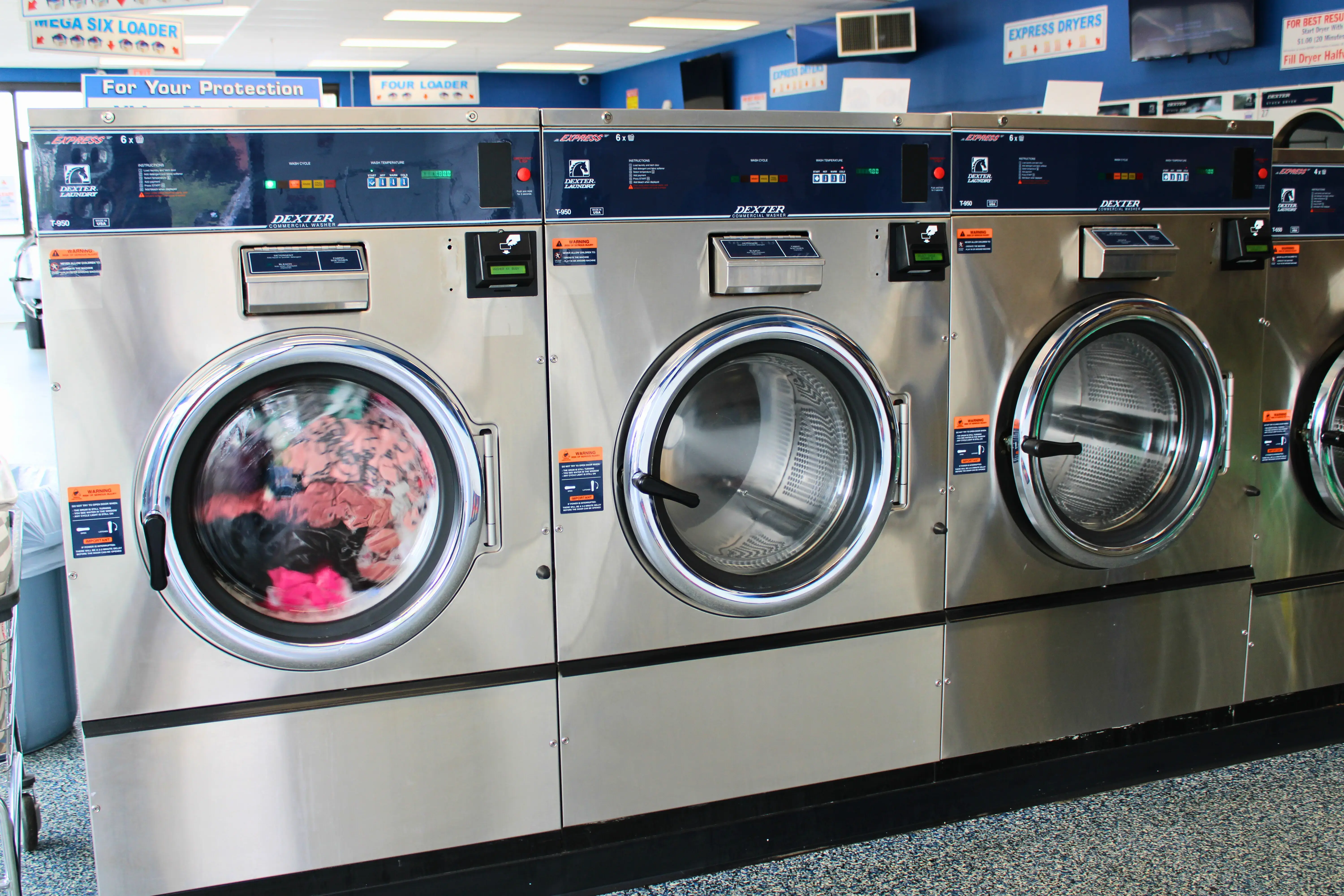 Ladybug Laundry - Image 2