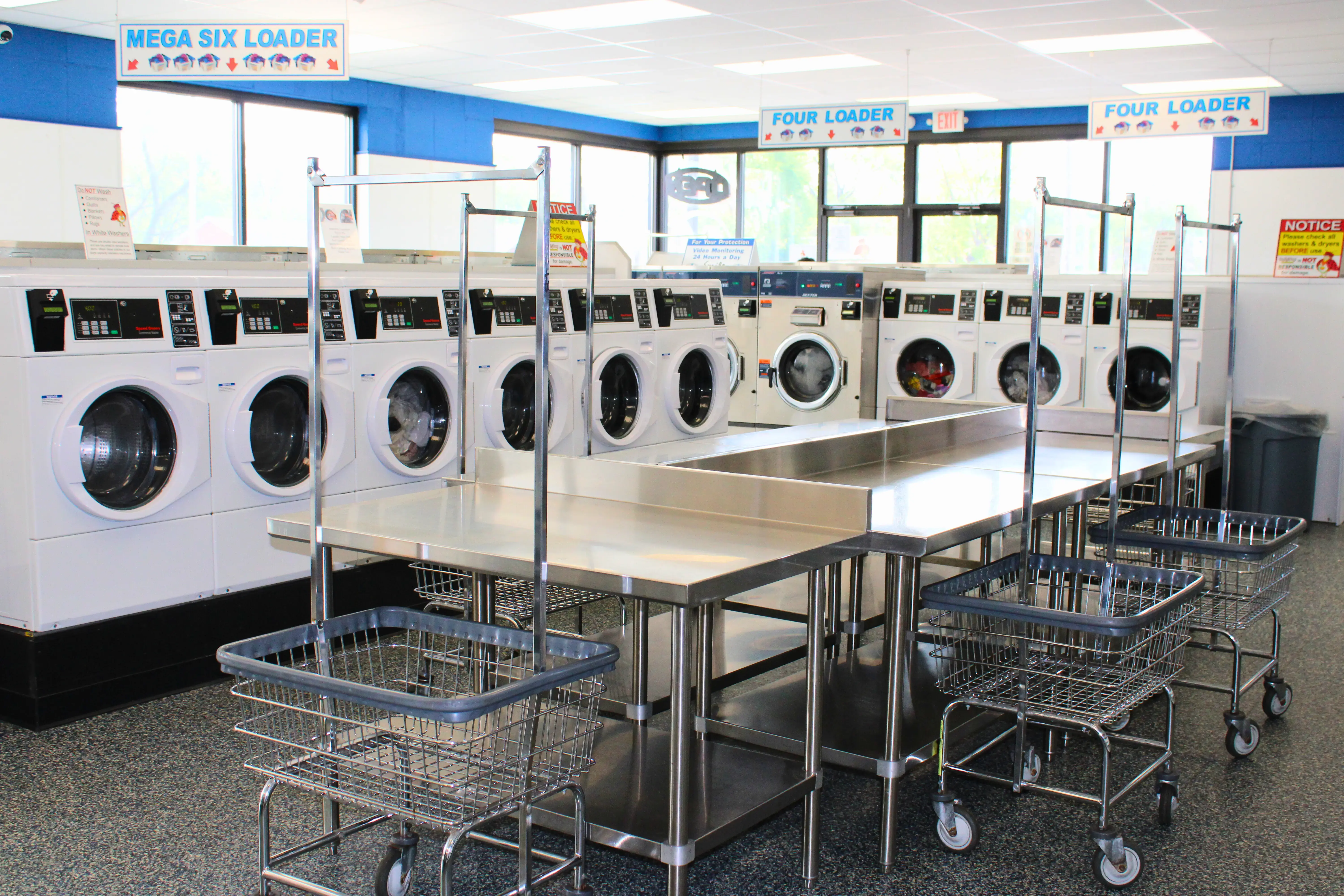 Ladybug Laundry thumbnail 14