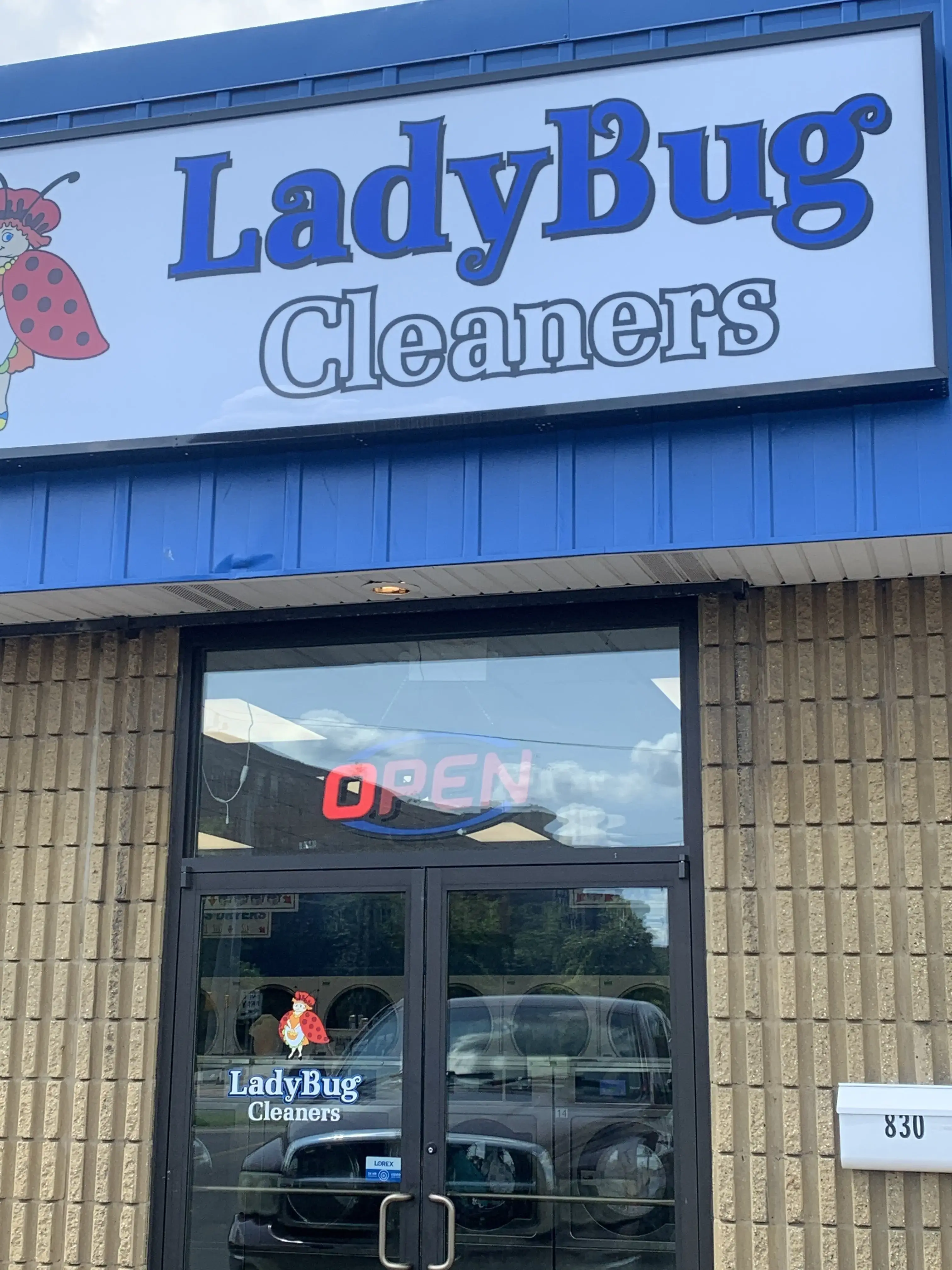 Ladybug Laundry thumbnail 14