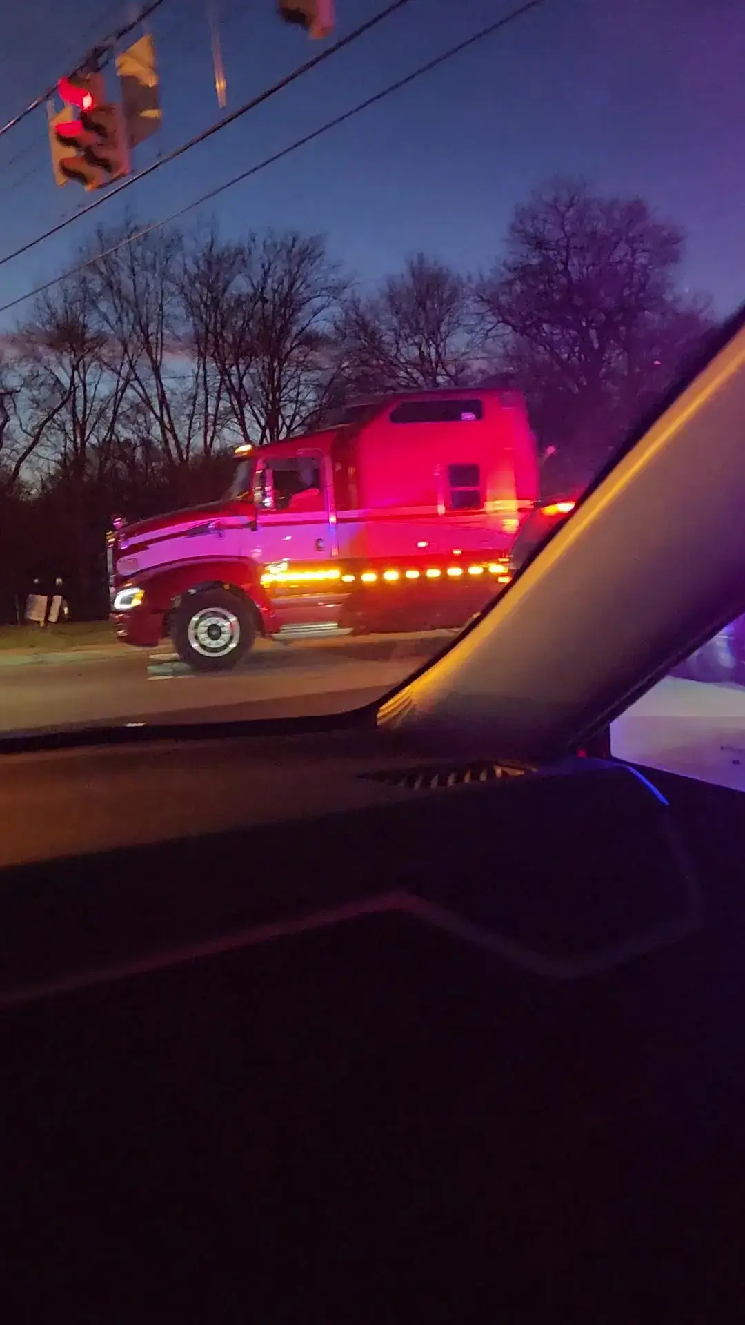 Ladybug Laundry thumbnail 18