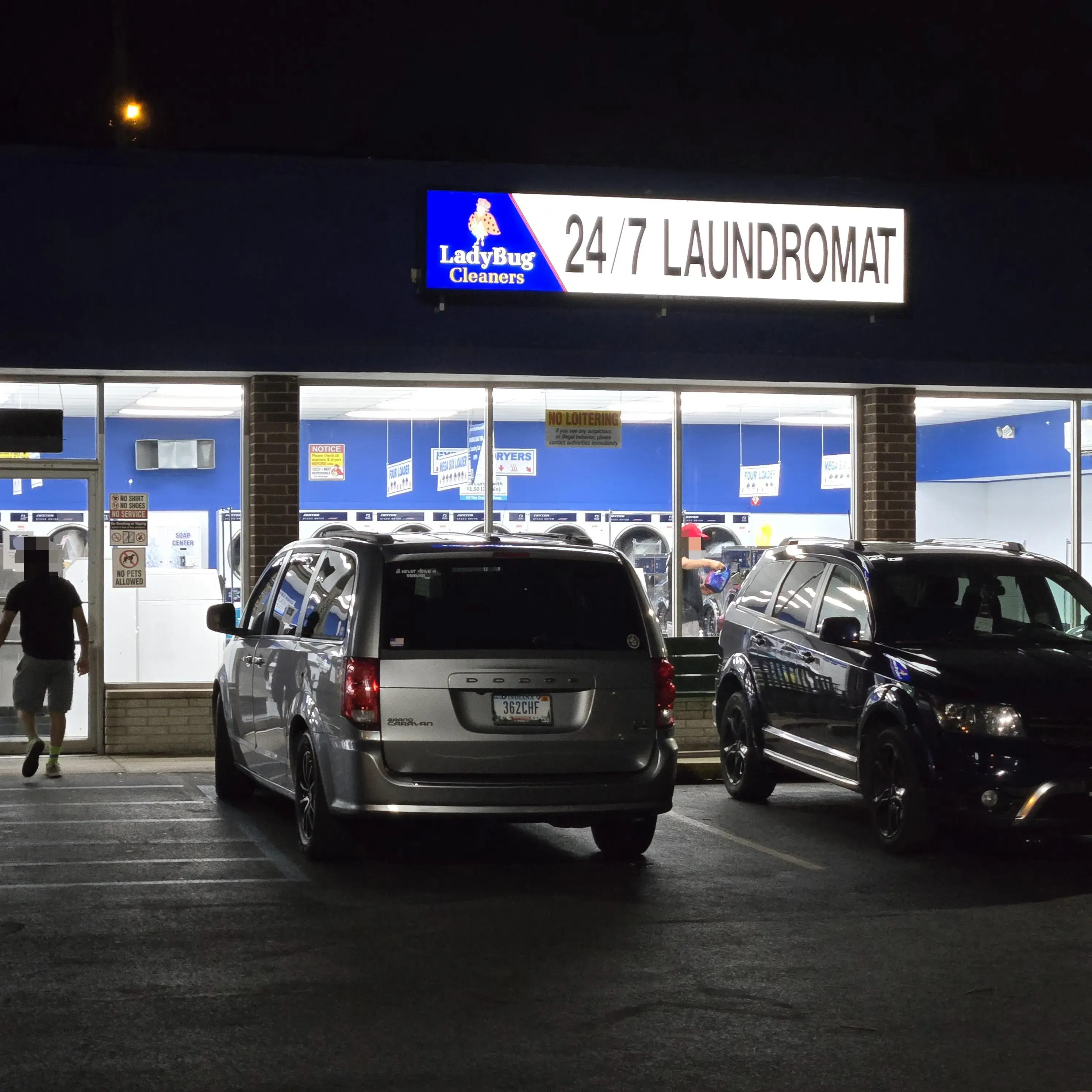 Ladybug Laundry - Image 4