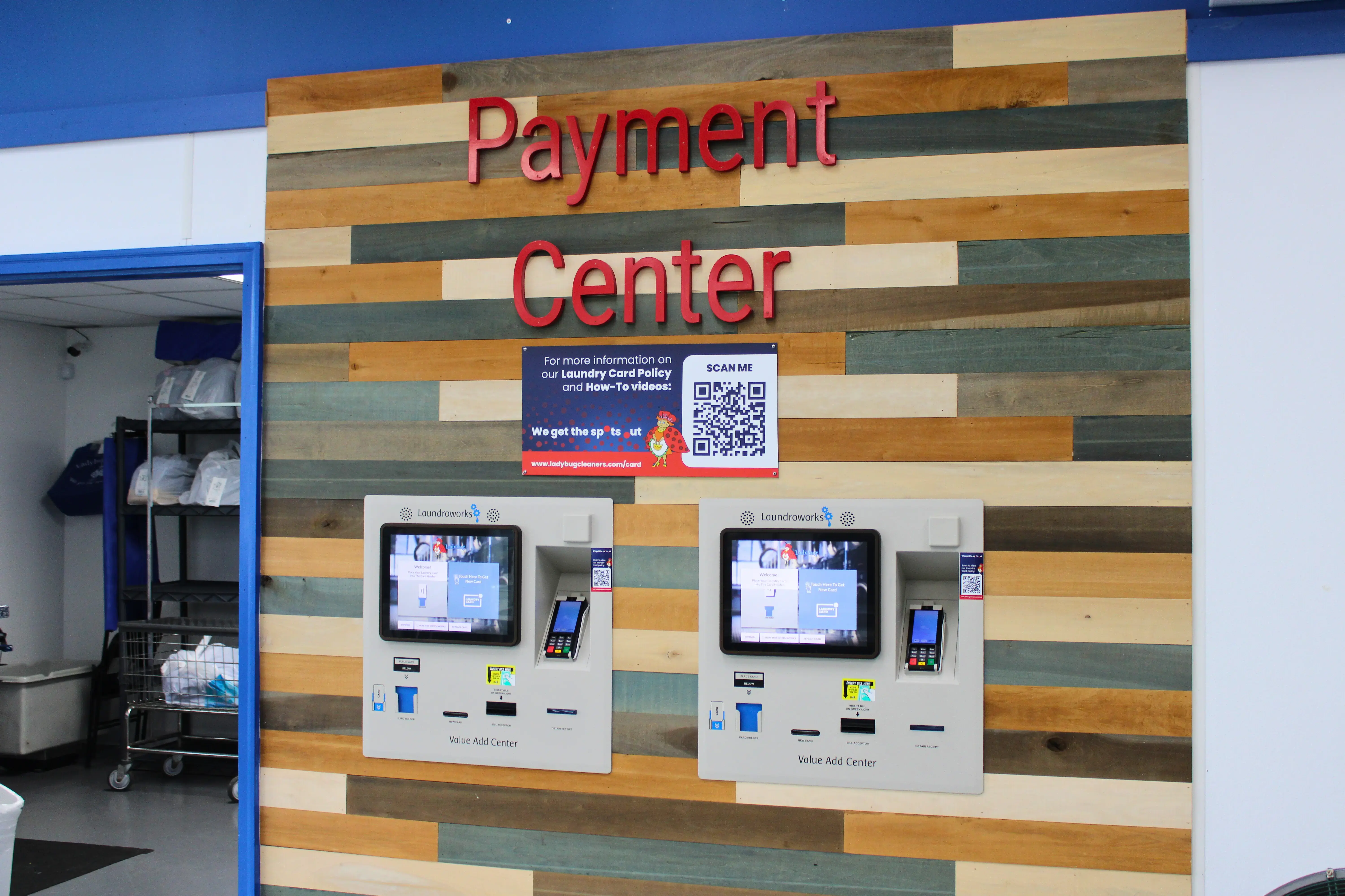 Ladybug Laundry thumbnail 5