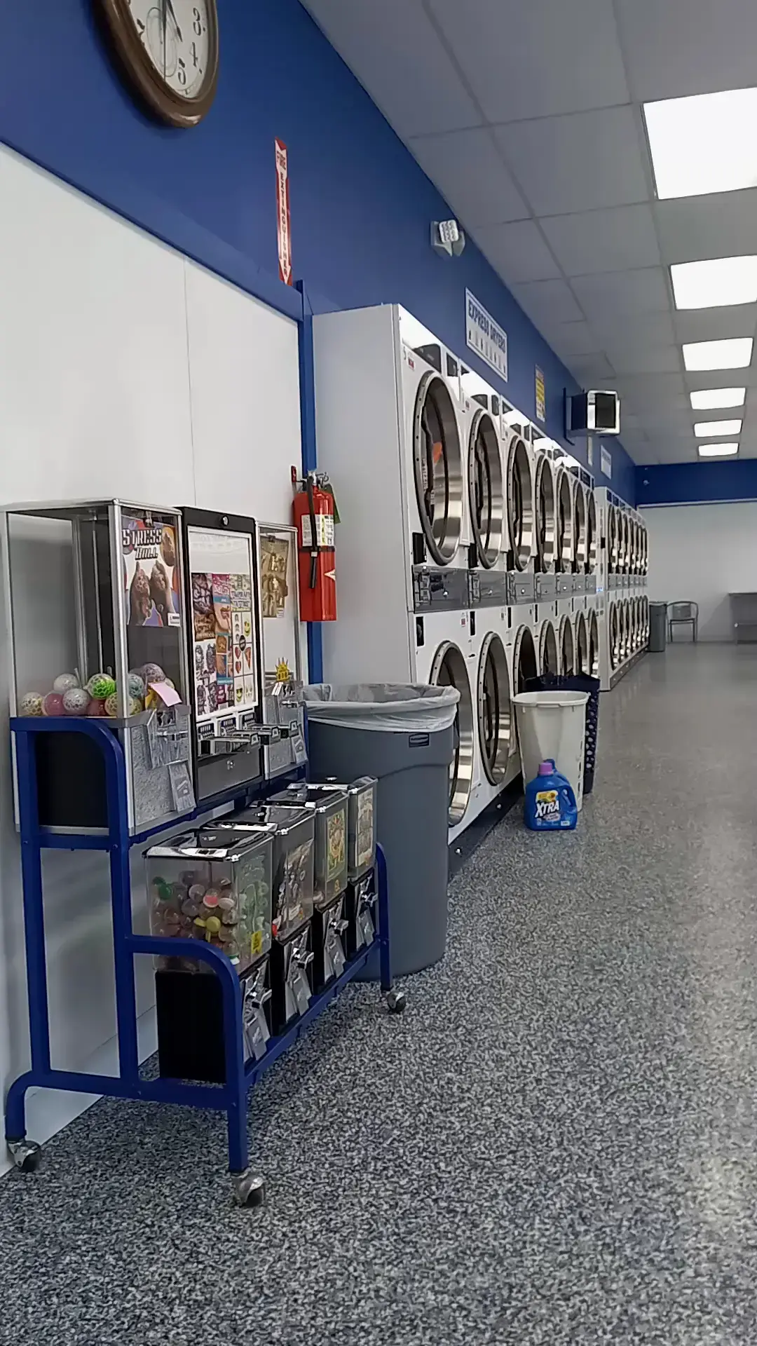 Ladybug Laundry - Image 2