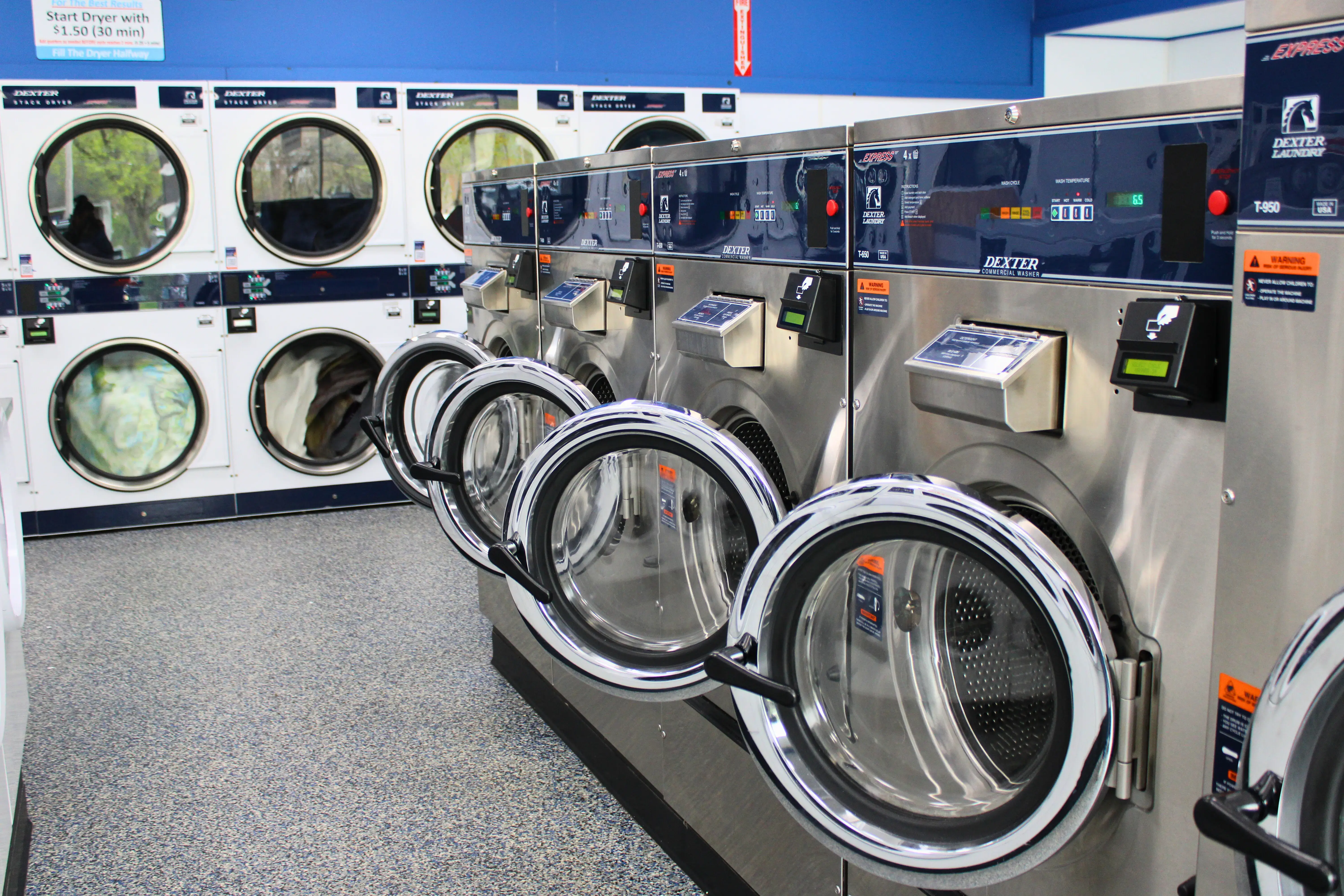 Ladybug Laundry - Image 3