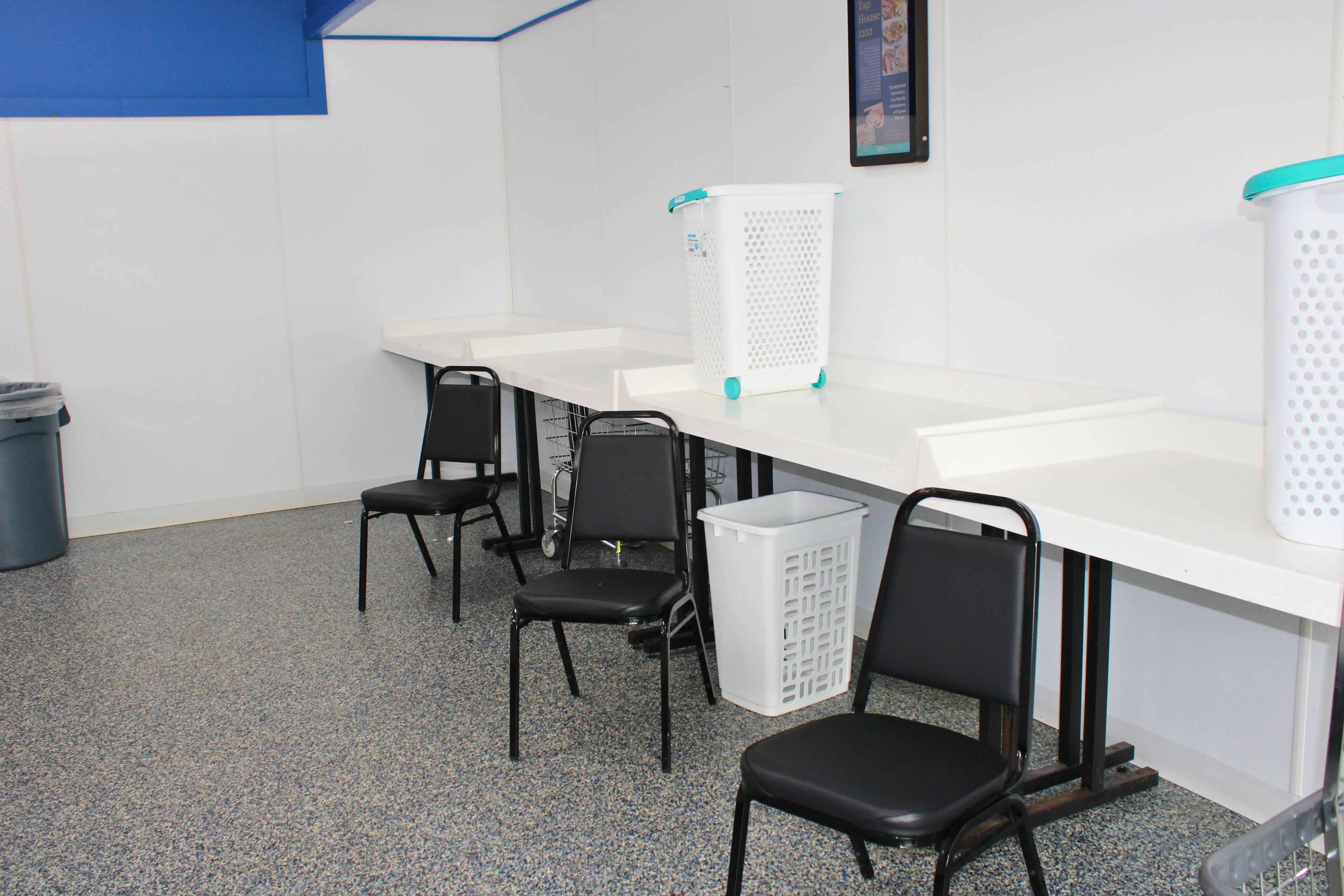 Ladybug Laundry thumbnail 16