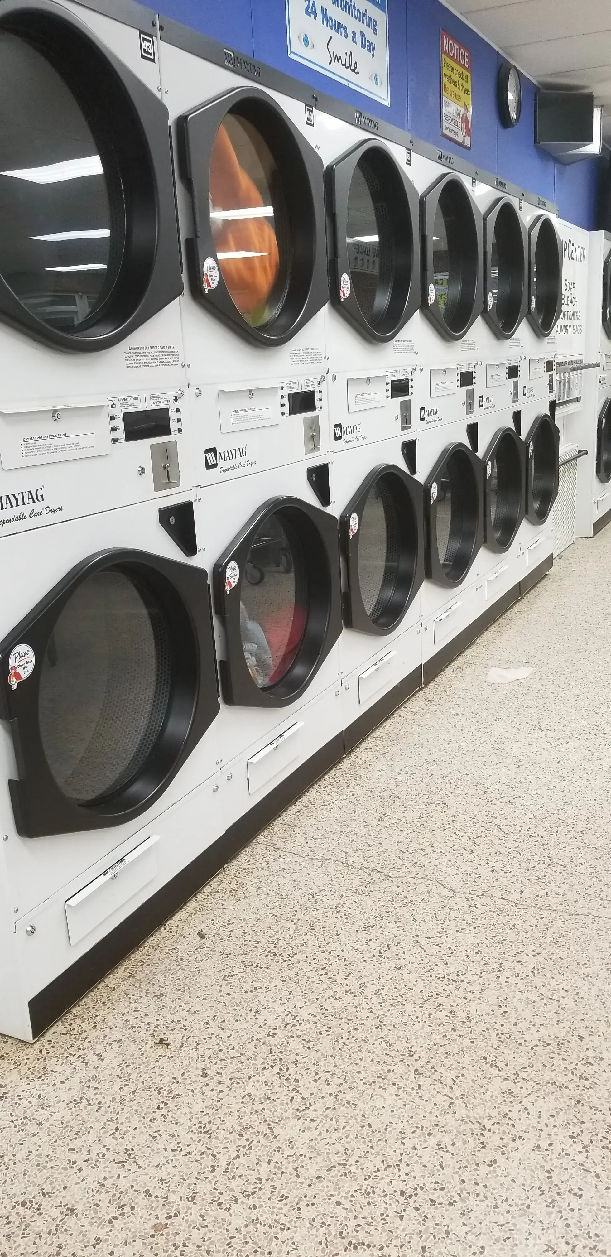 Ladybug Laundry - Image 17