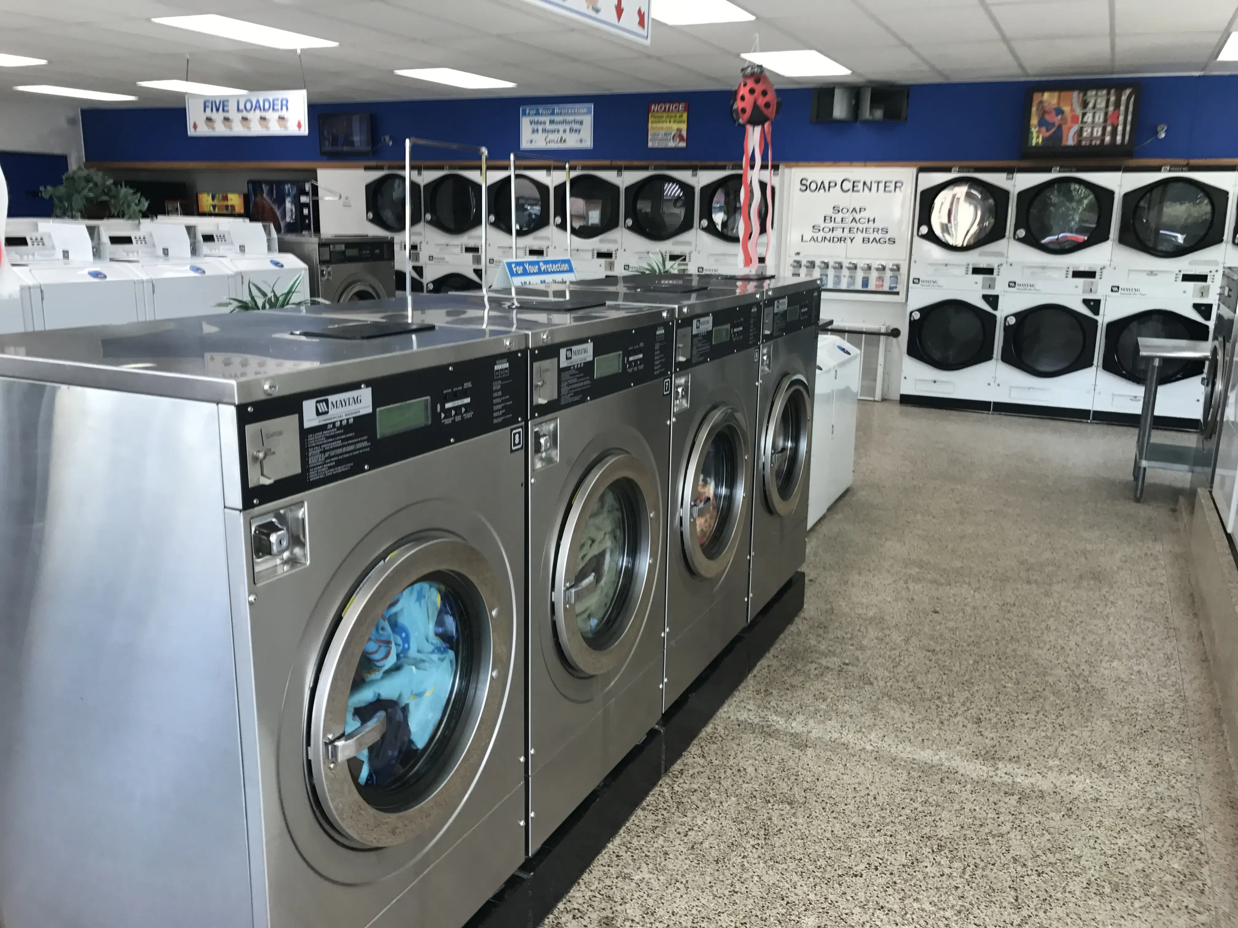 Ladybug Laundry - Image 18