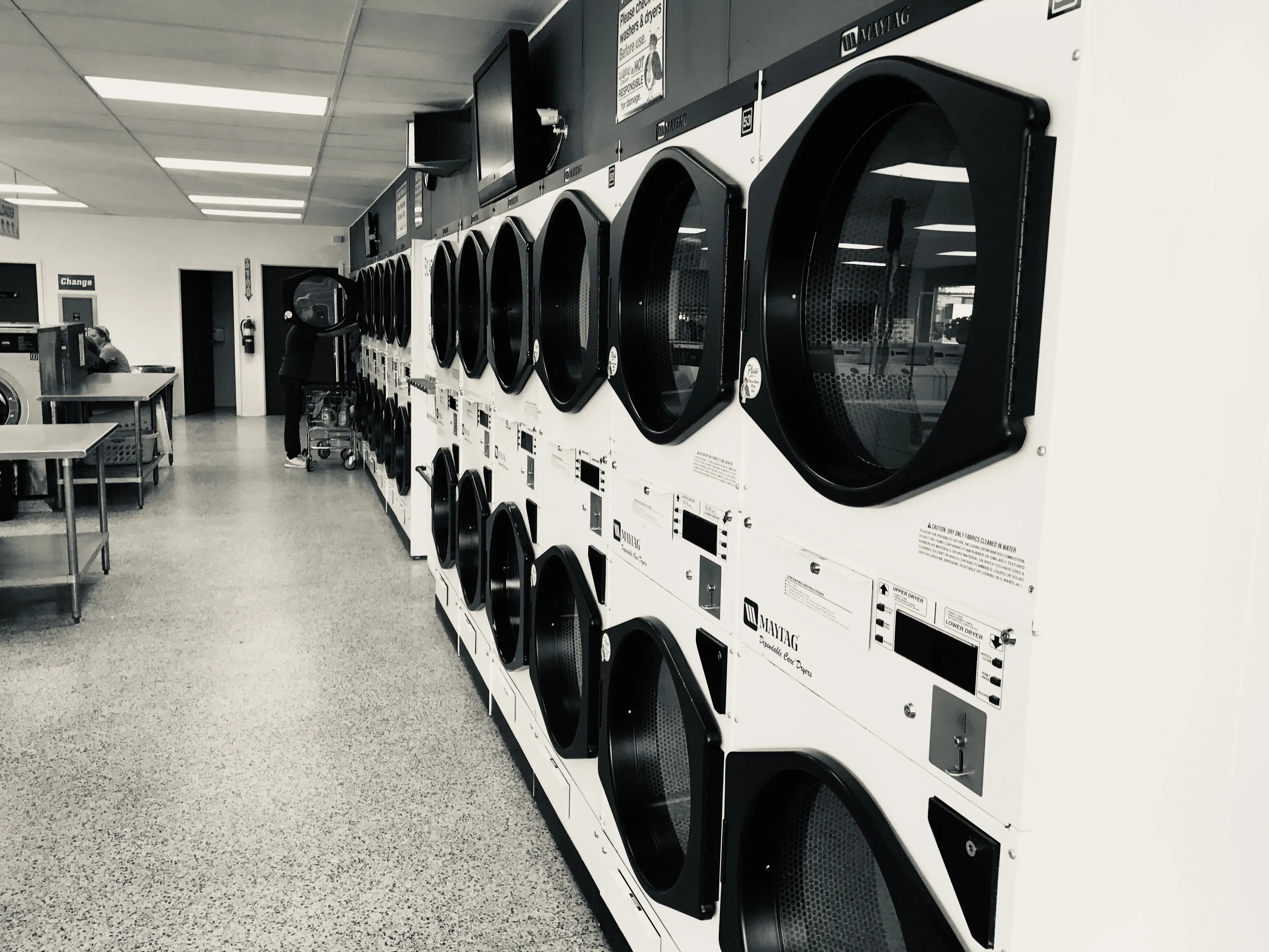 Ladybug Laundry - Image 16