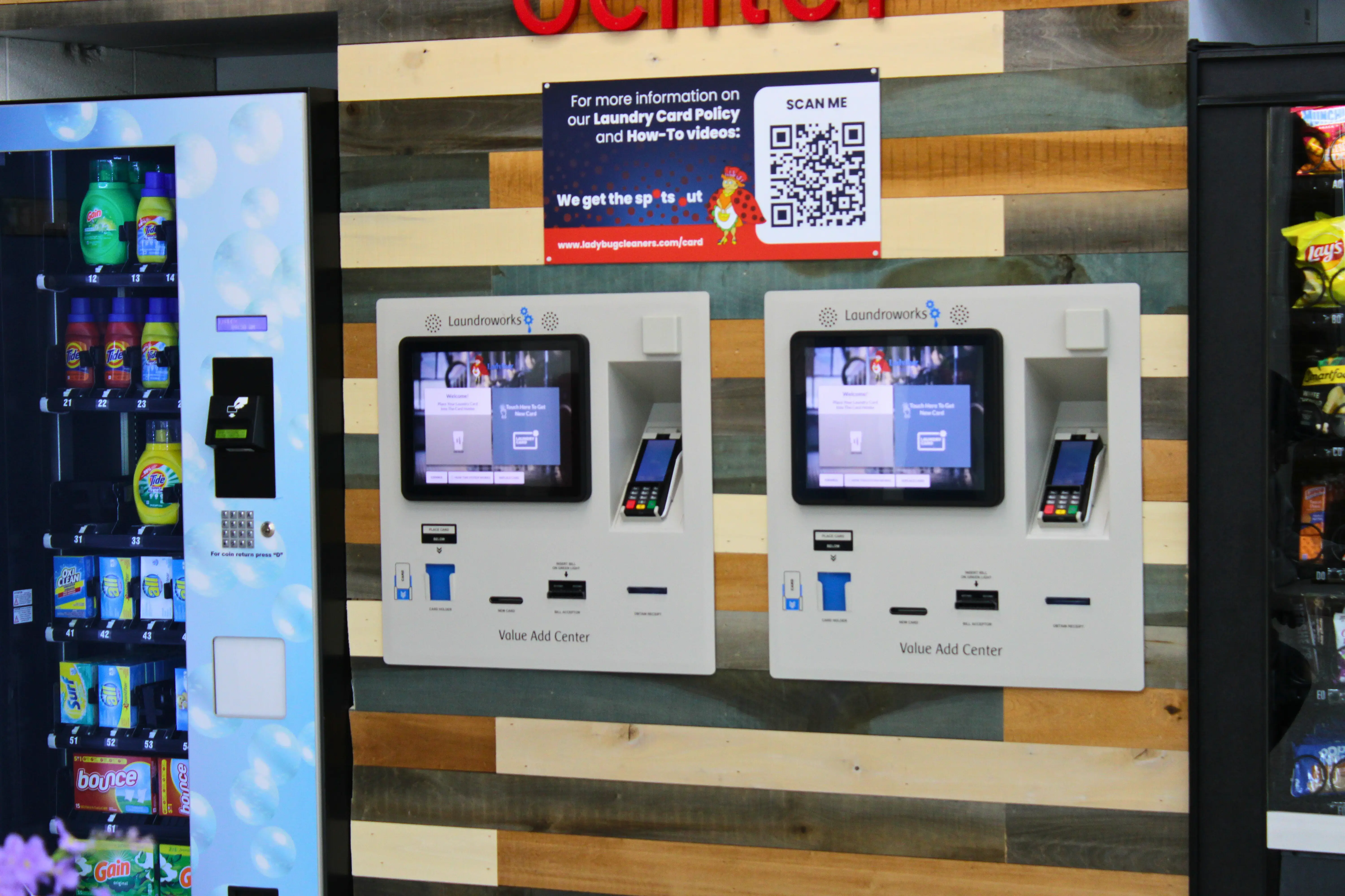 Ladybug Laundry thumbnail 12