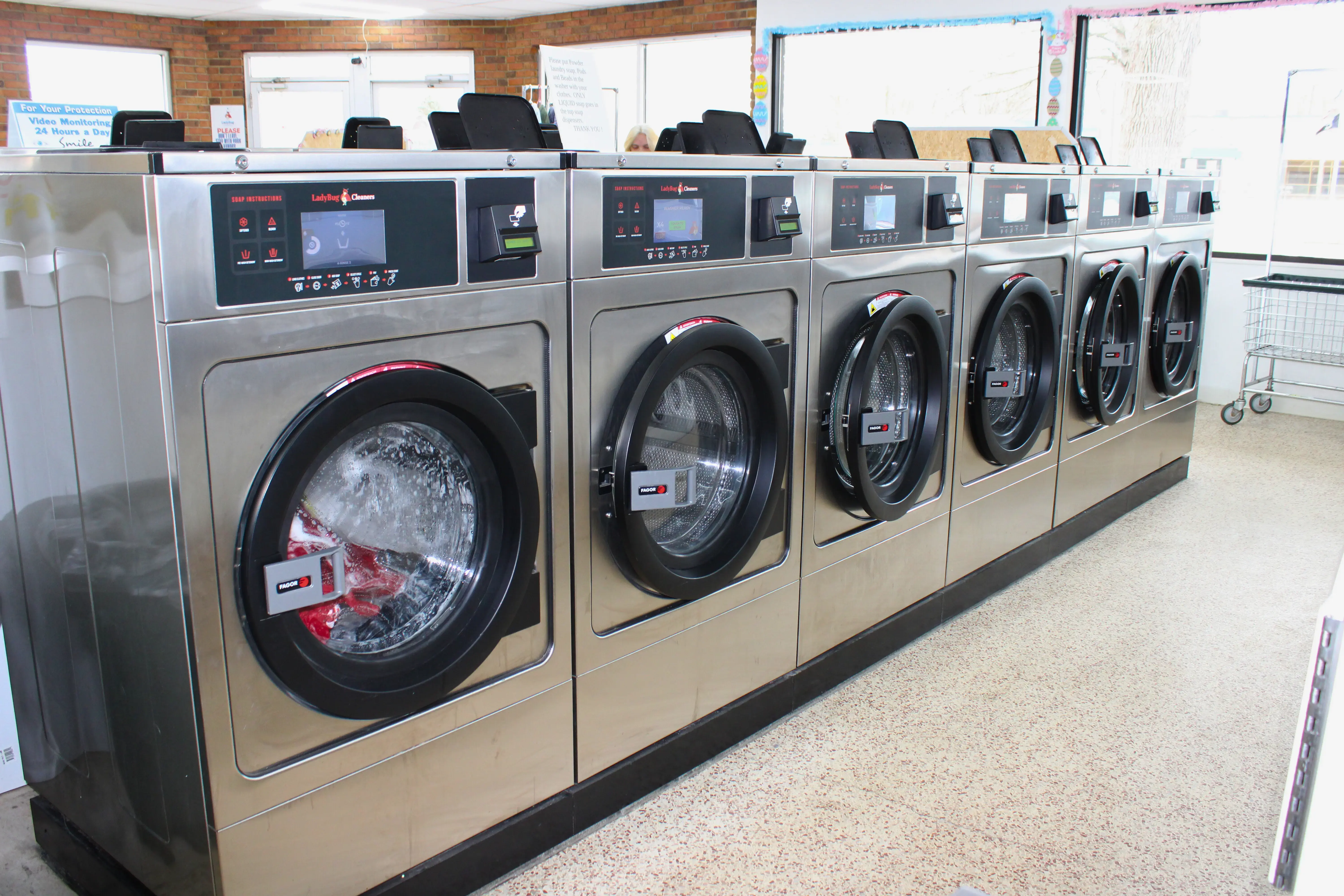 Ladybug Laundry - Image 2