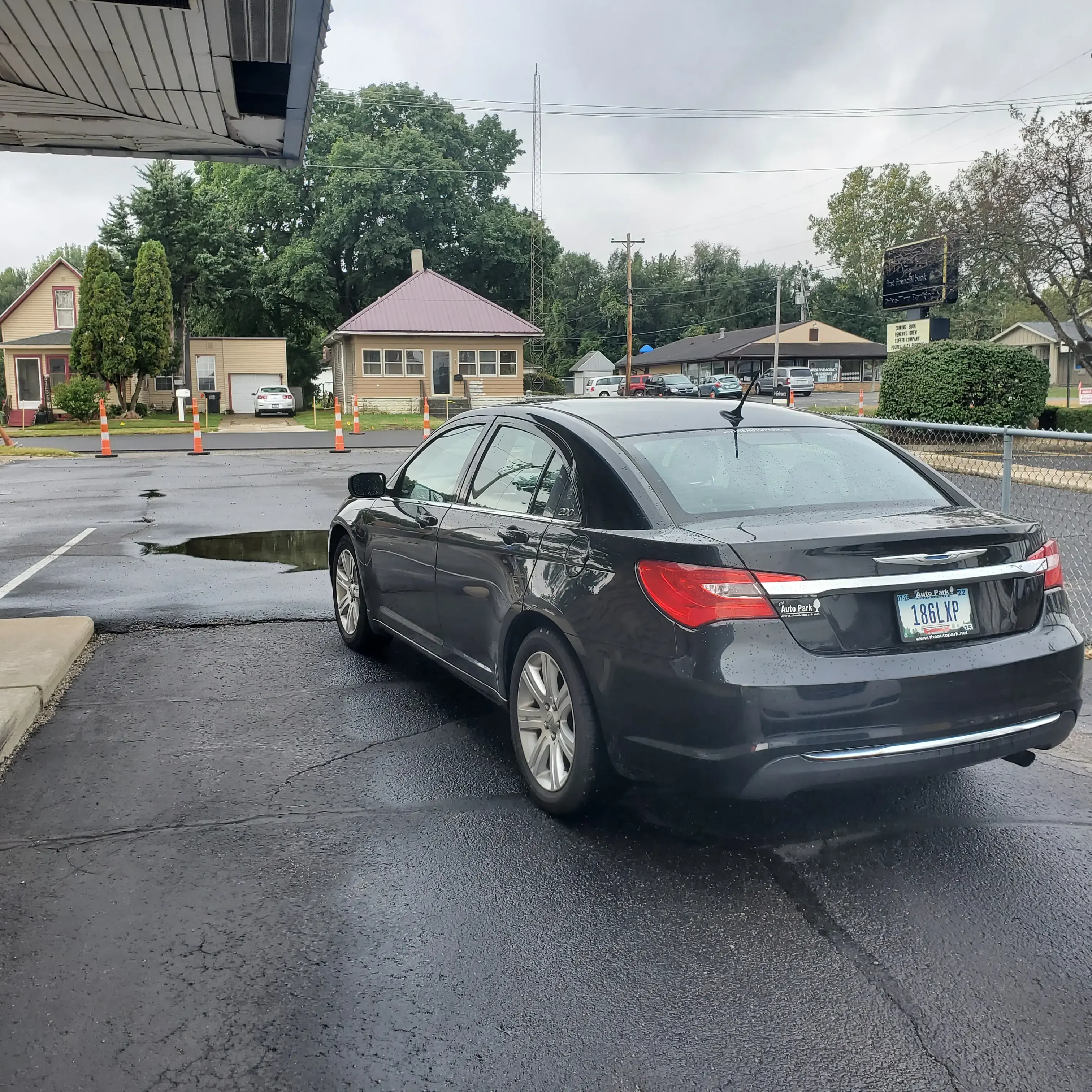 Ladybug Laundry thumbnail 14