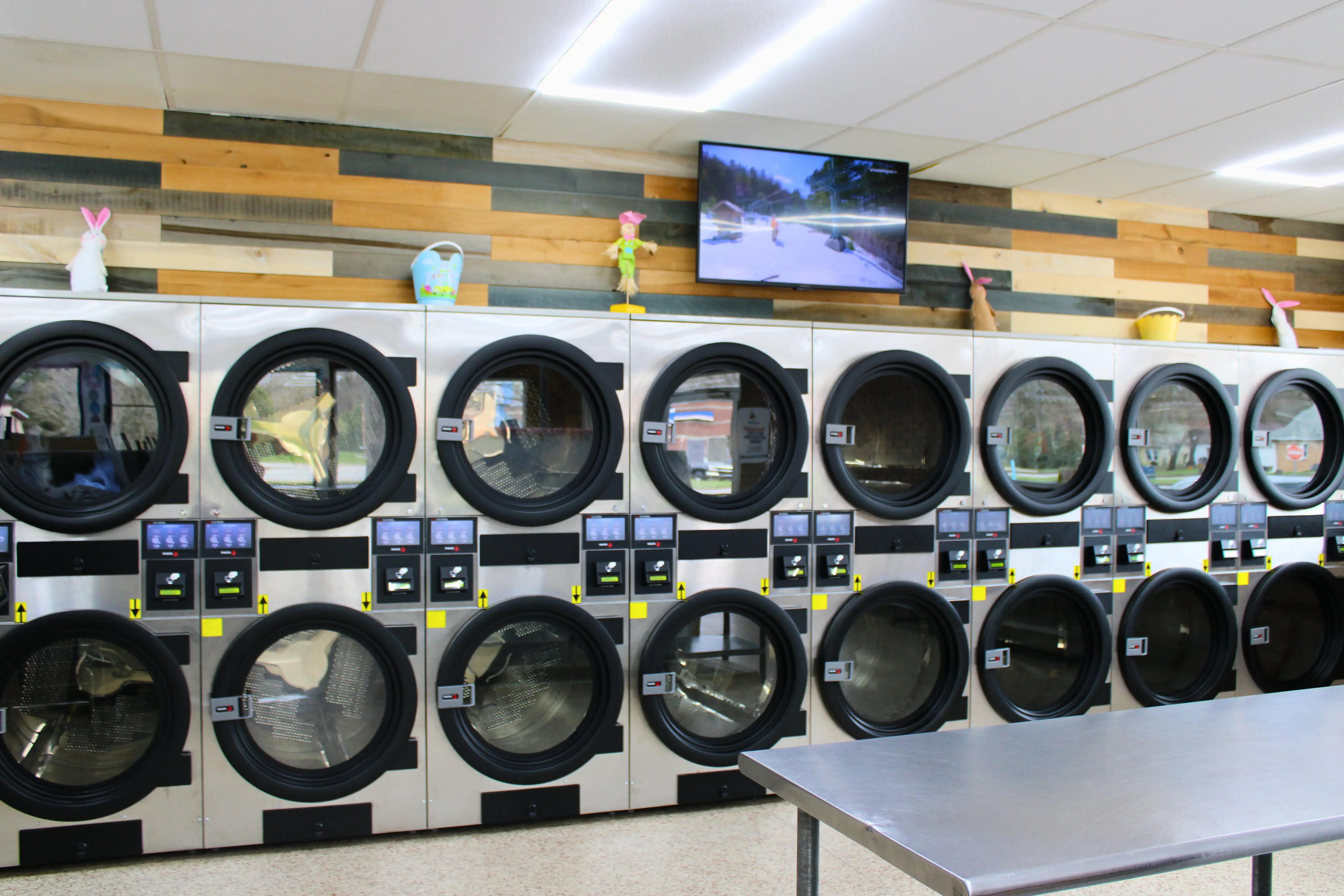 Ladybug Laundry thumbnail 3