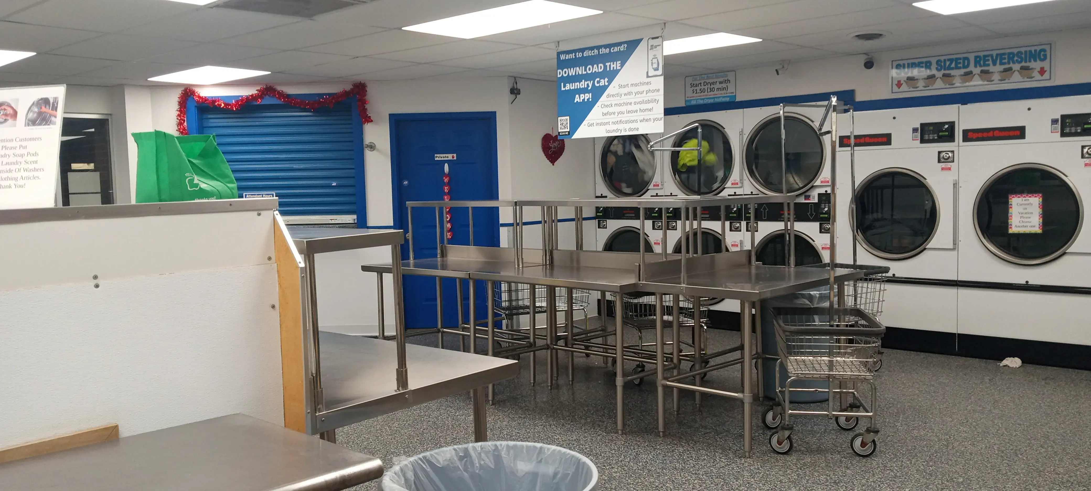 Ladybug Laundry - Image 18