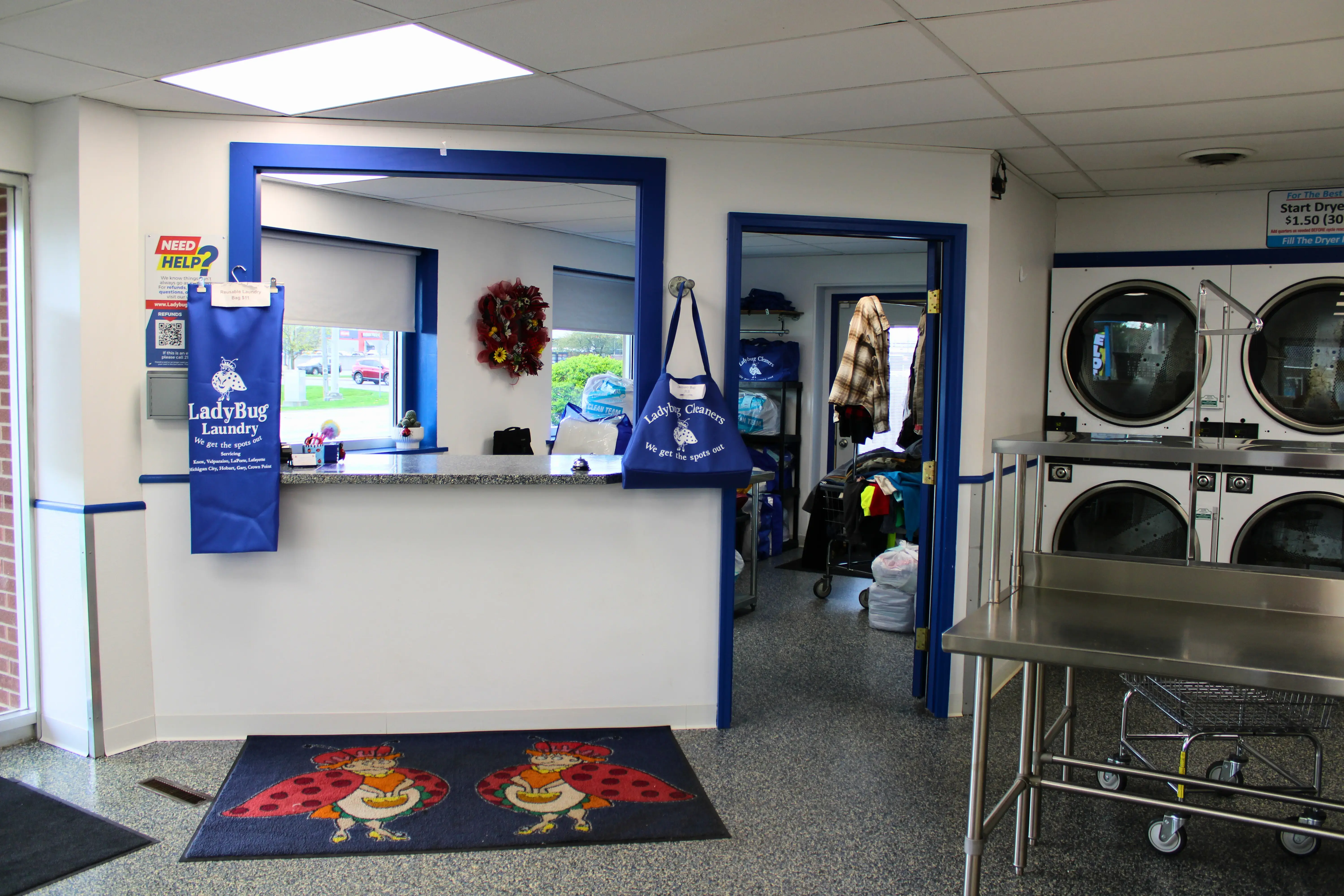 Ladybug Laundry - Image 4