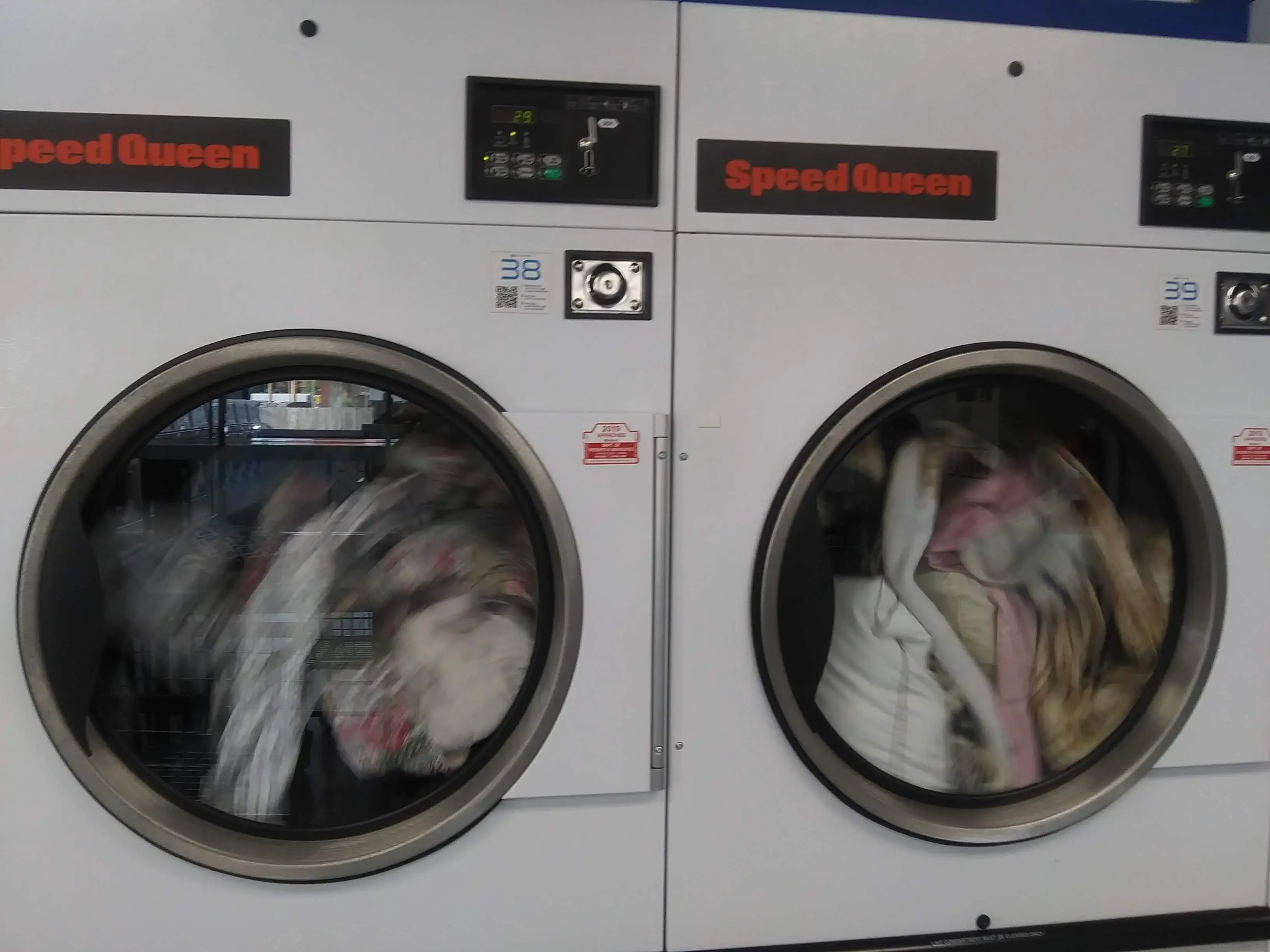 Ladybug Laundry thumbnail 16