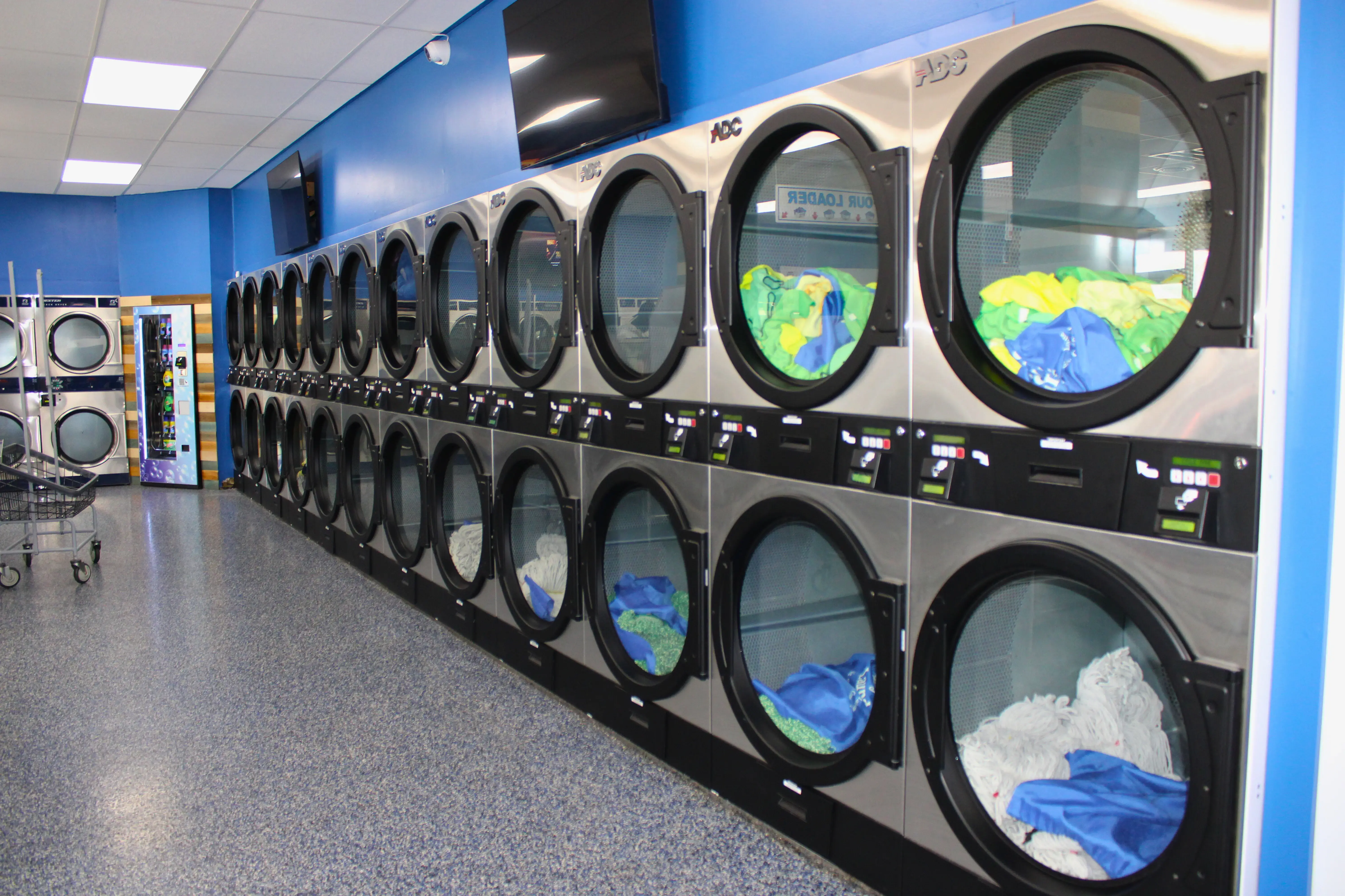 Ladybug Laundry - Image 3