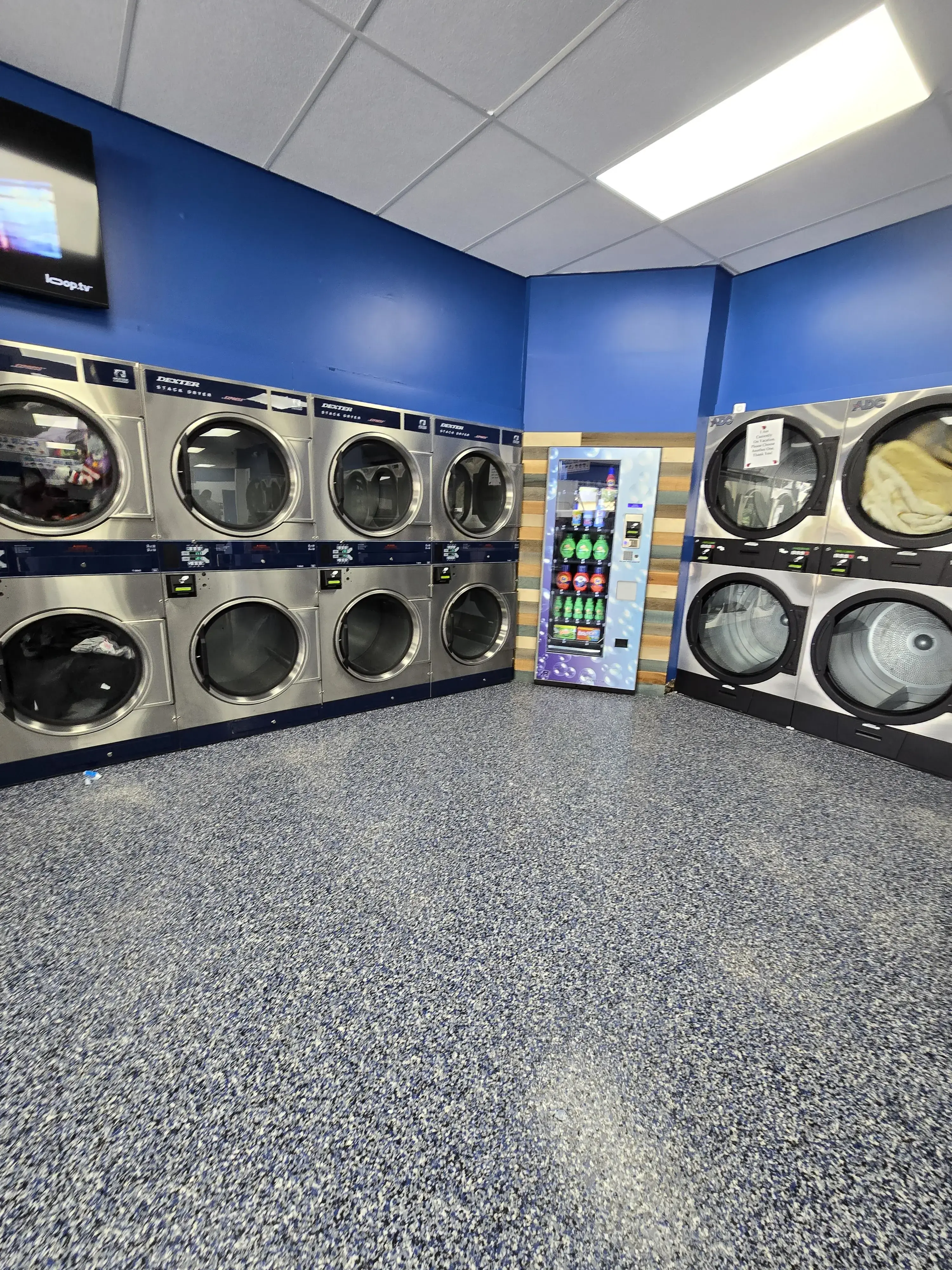 Ladybug Laundry - Image 20