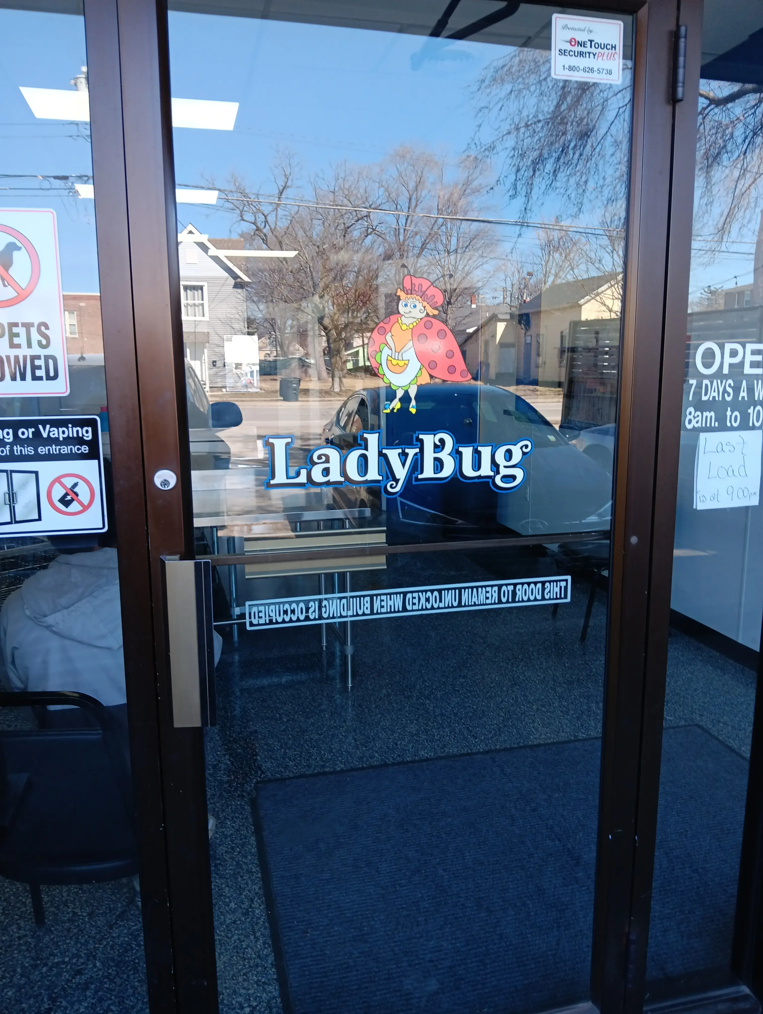 Ladybug Laundry thumbnail 11