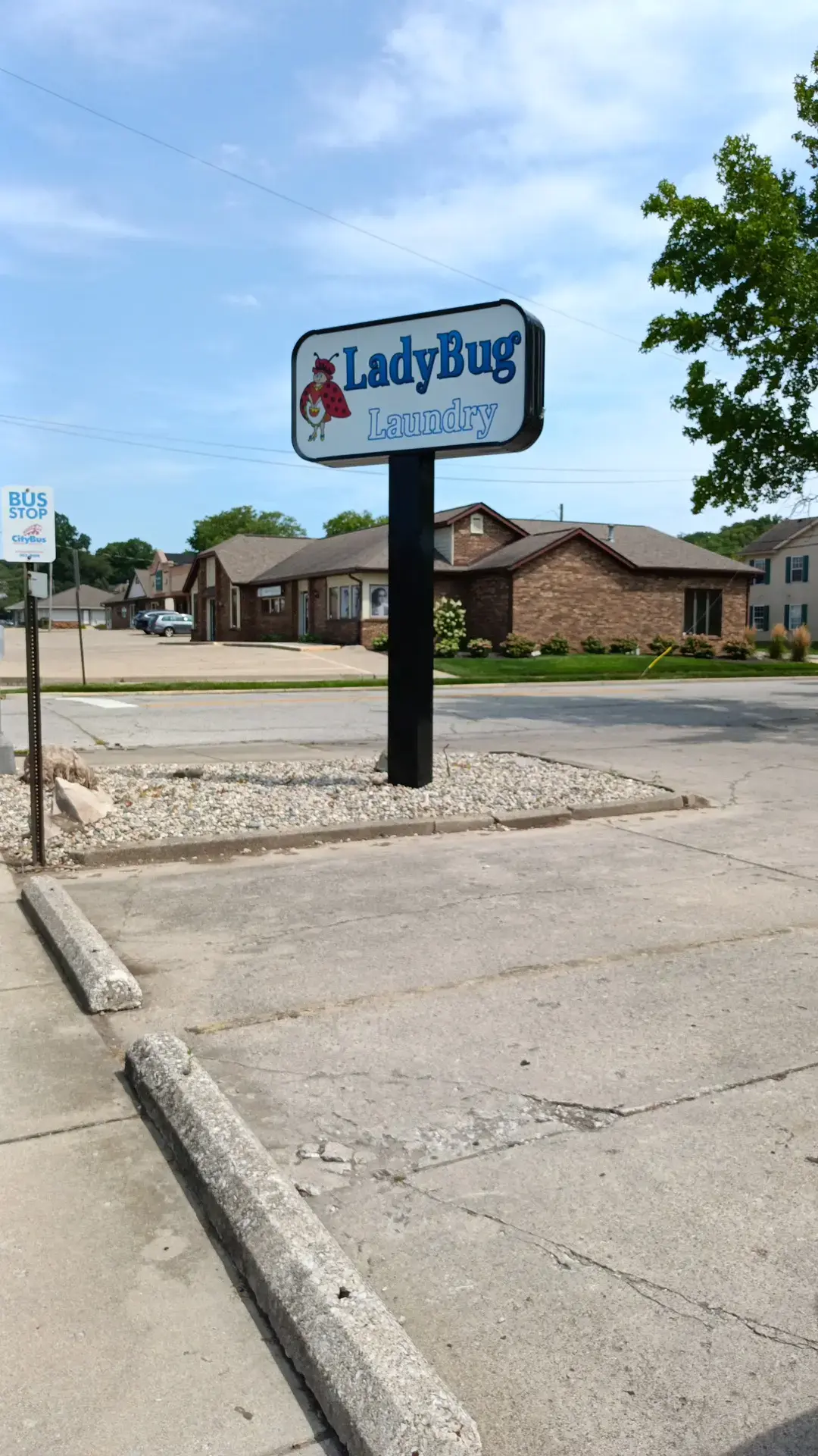 Ladybug Laundry - Image 6