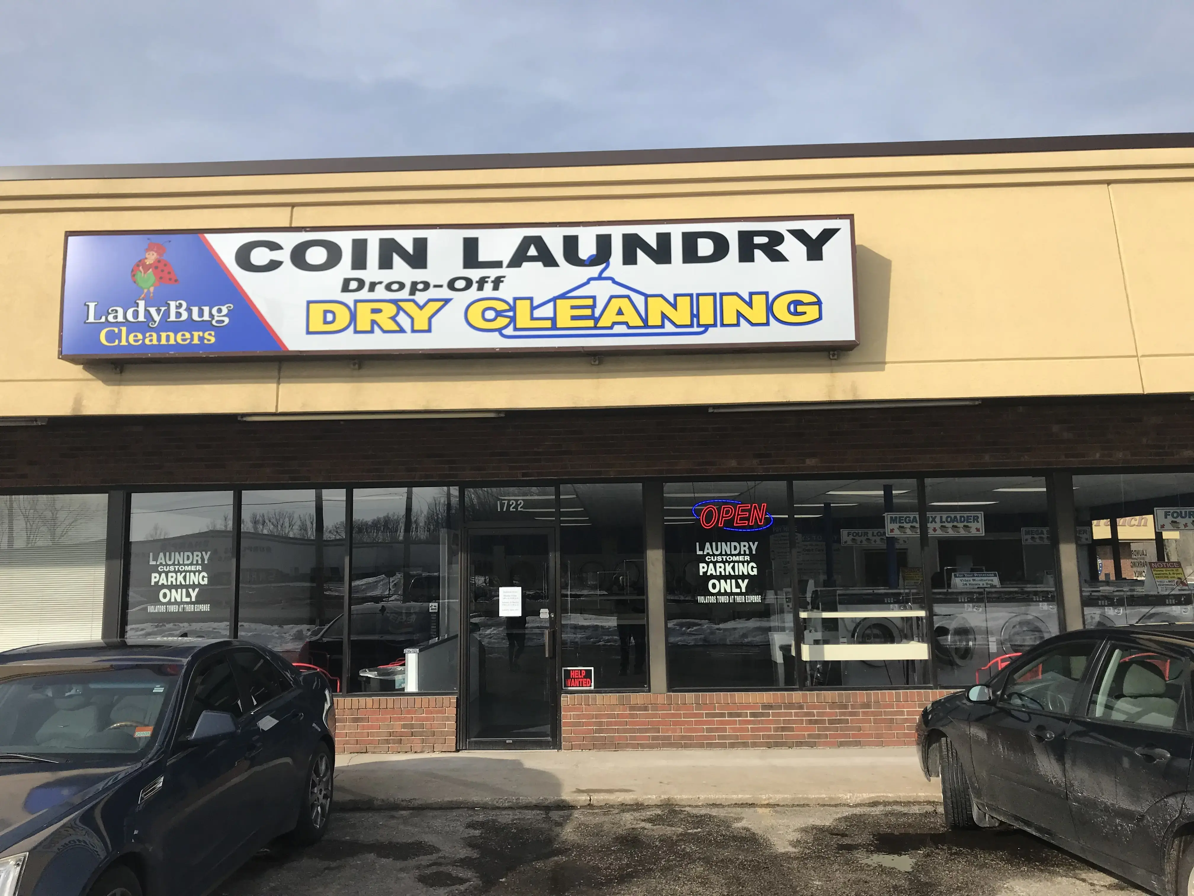 Ladybug Laundry thumbnail 3