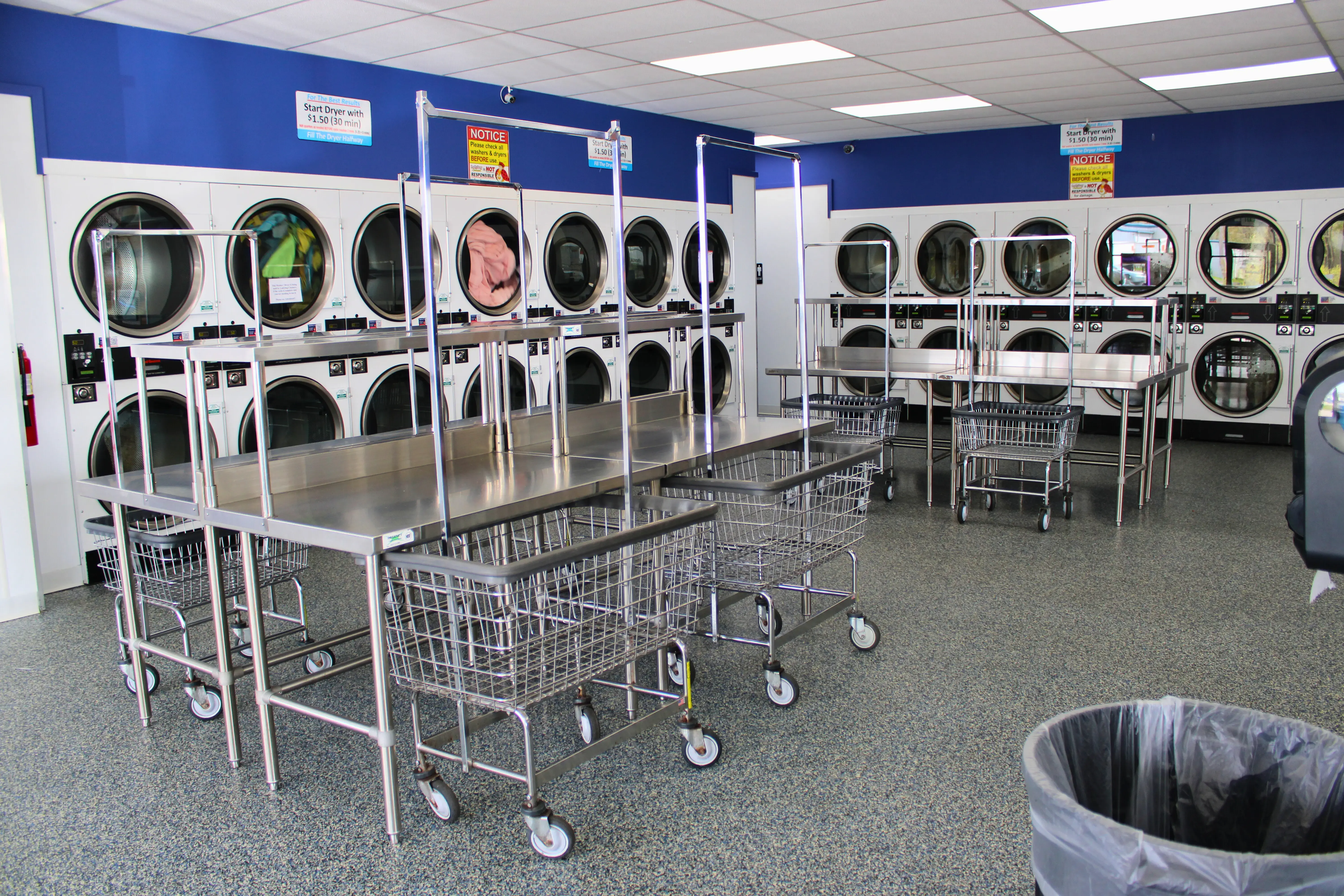Ladybug Laundry thumbnail 2