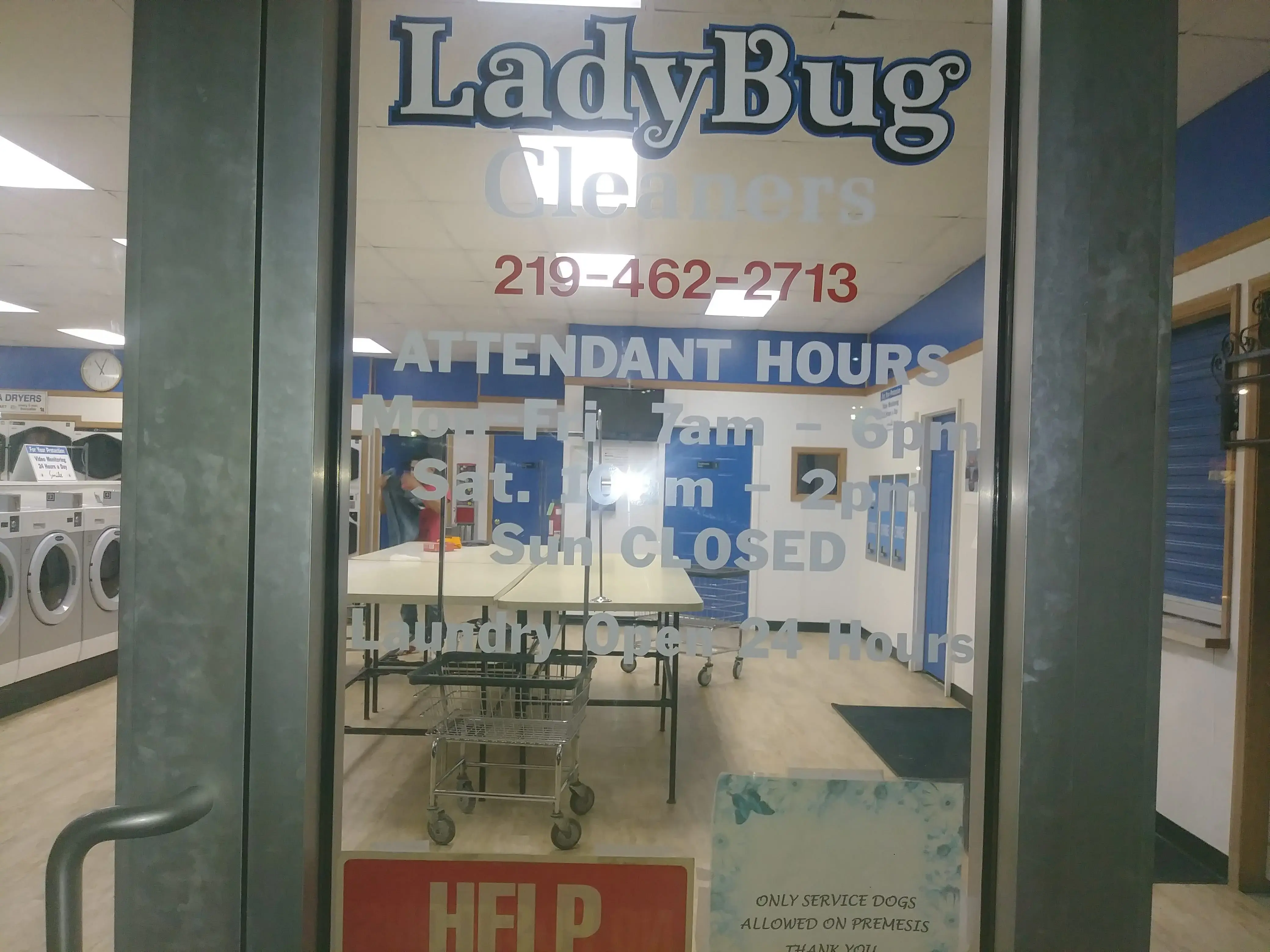 Ladybug Laundry thumbnail 13