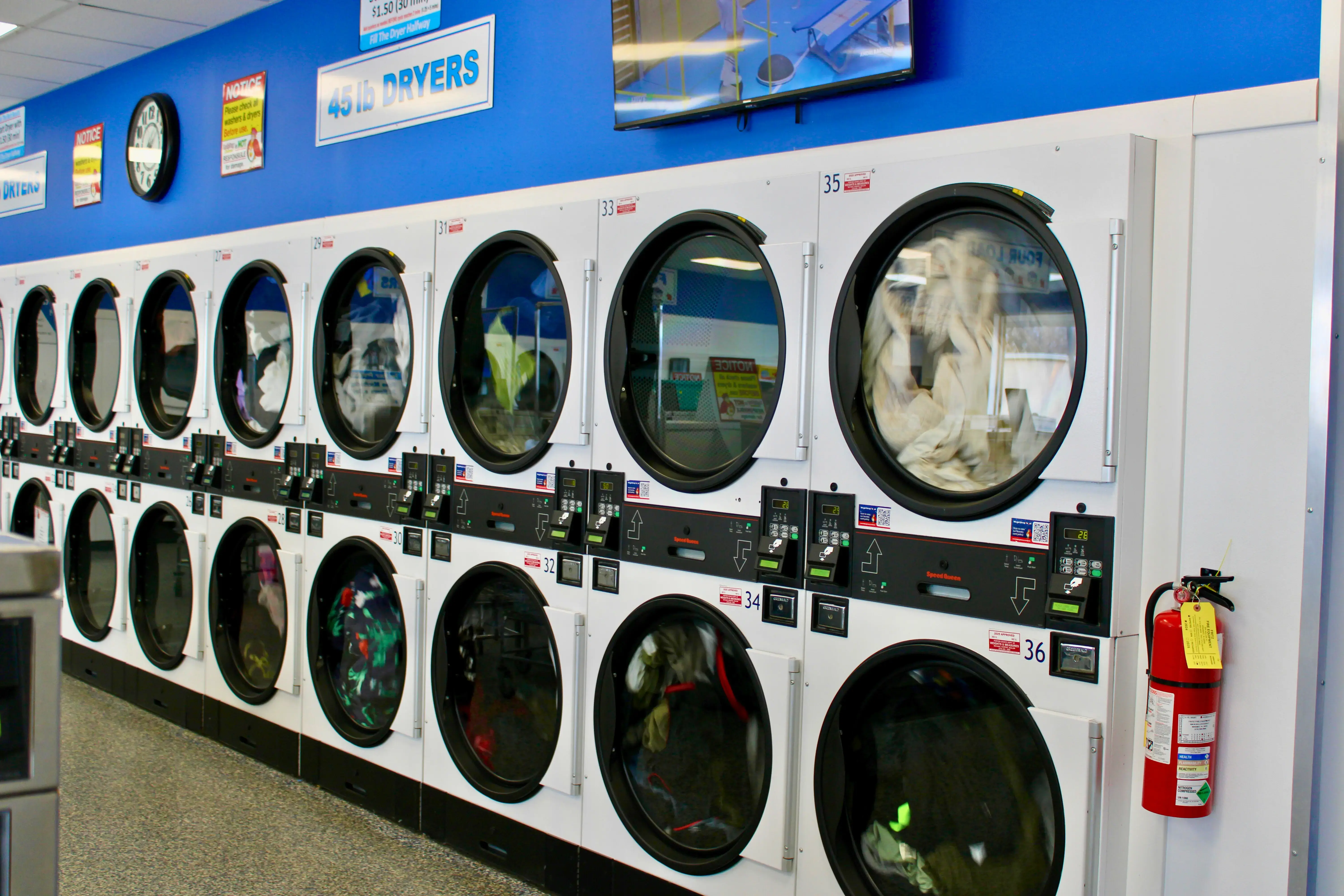 Ladybug Laundry thumbnail 16