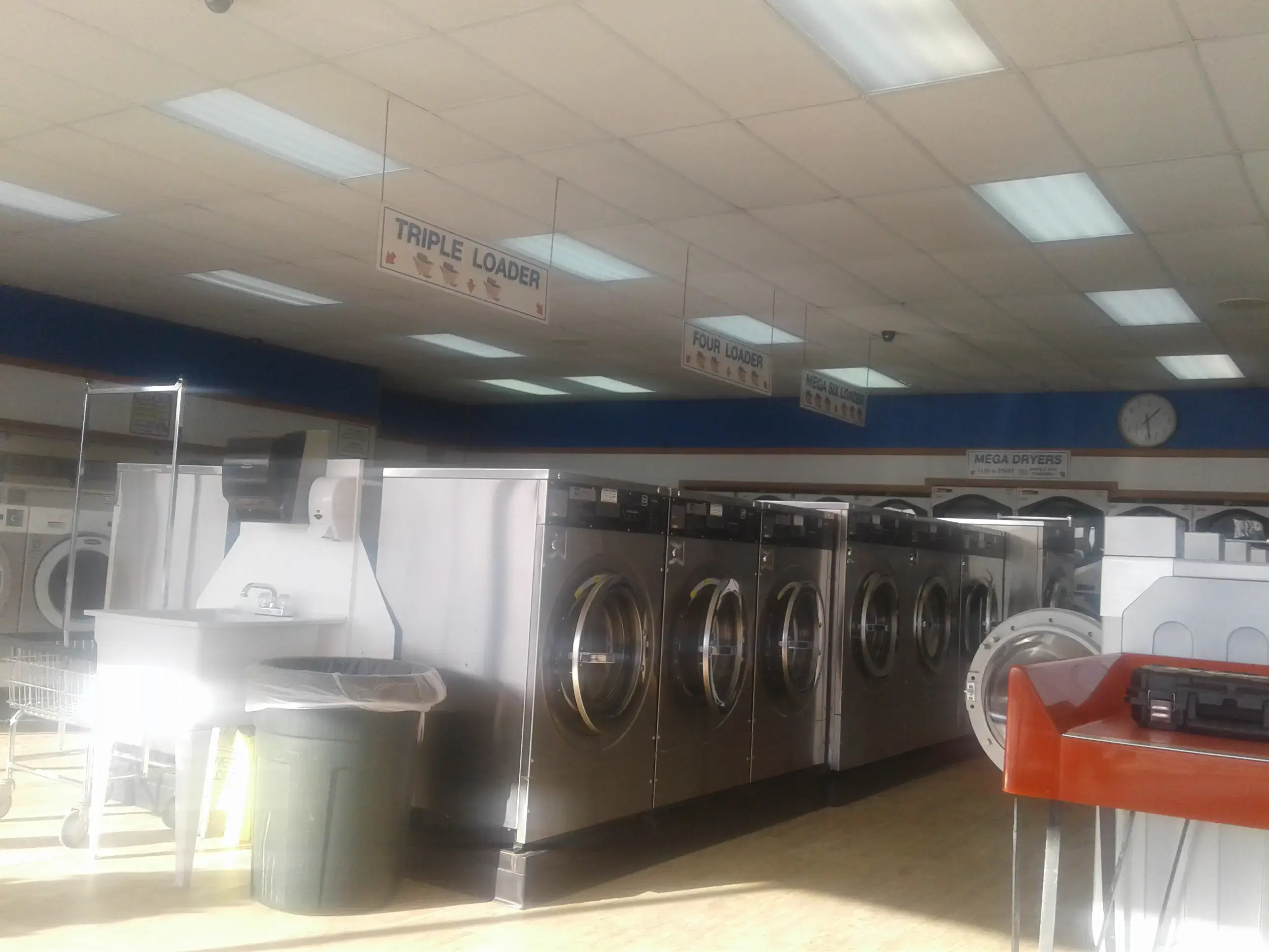 Ladybug Laundry thumbnail 19