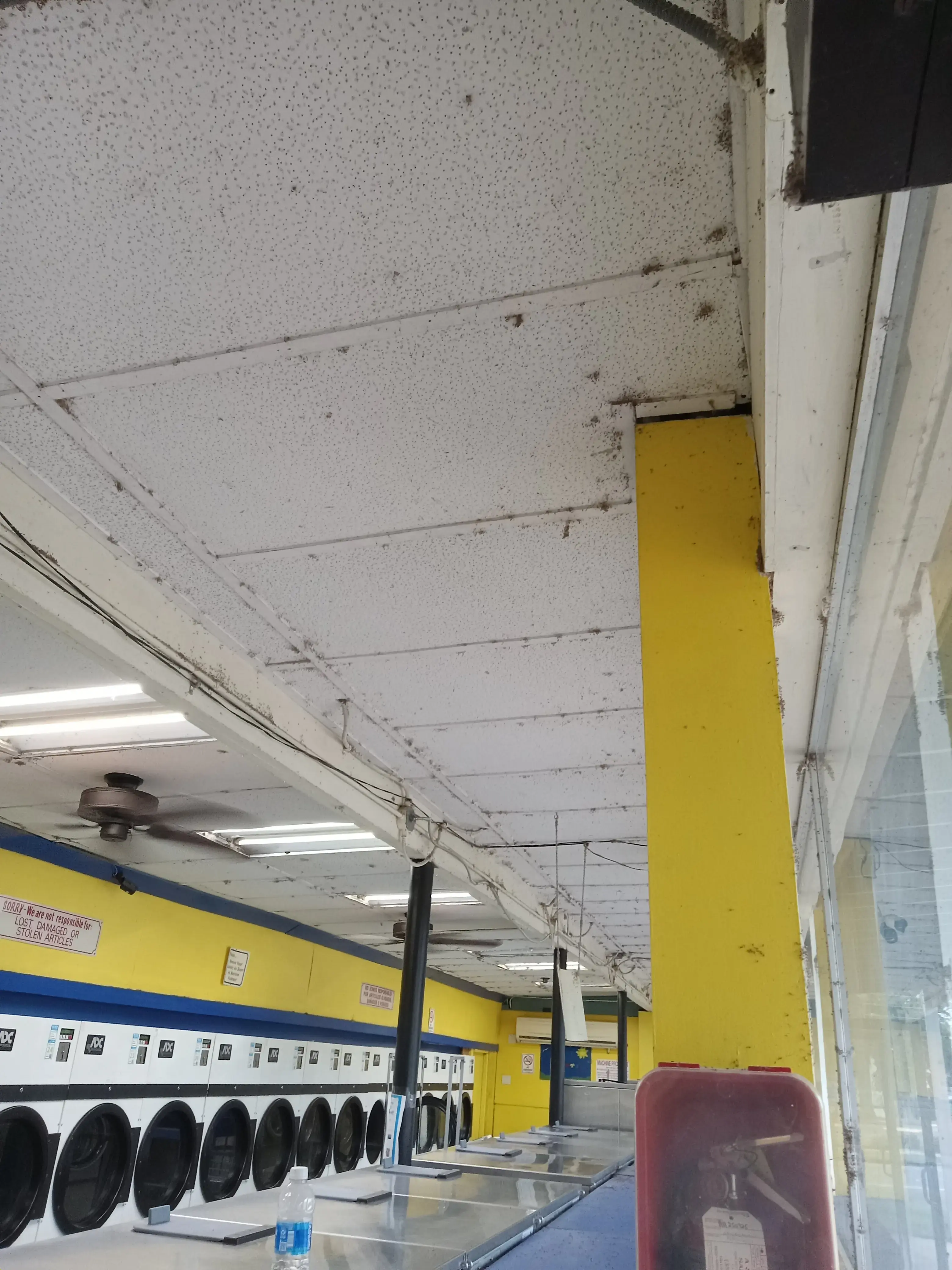 Lake Eustis Laundry, "Veteran Owned" - Image 18